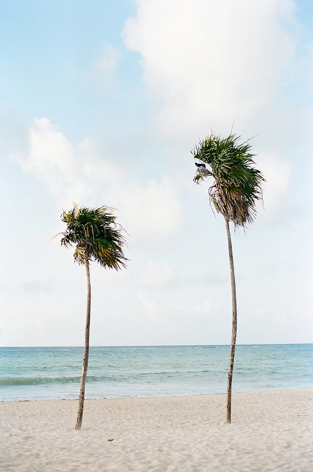A Simple Wedding in Mexico on Cottage Hill1.jpg