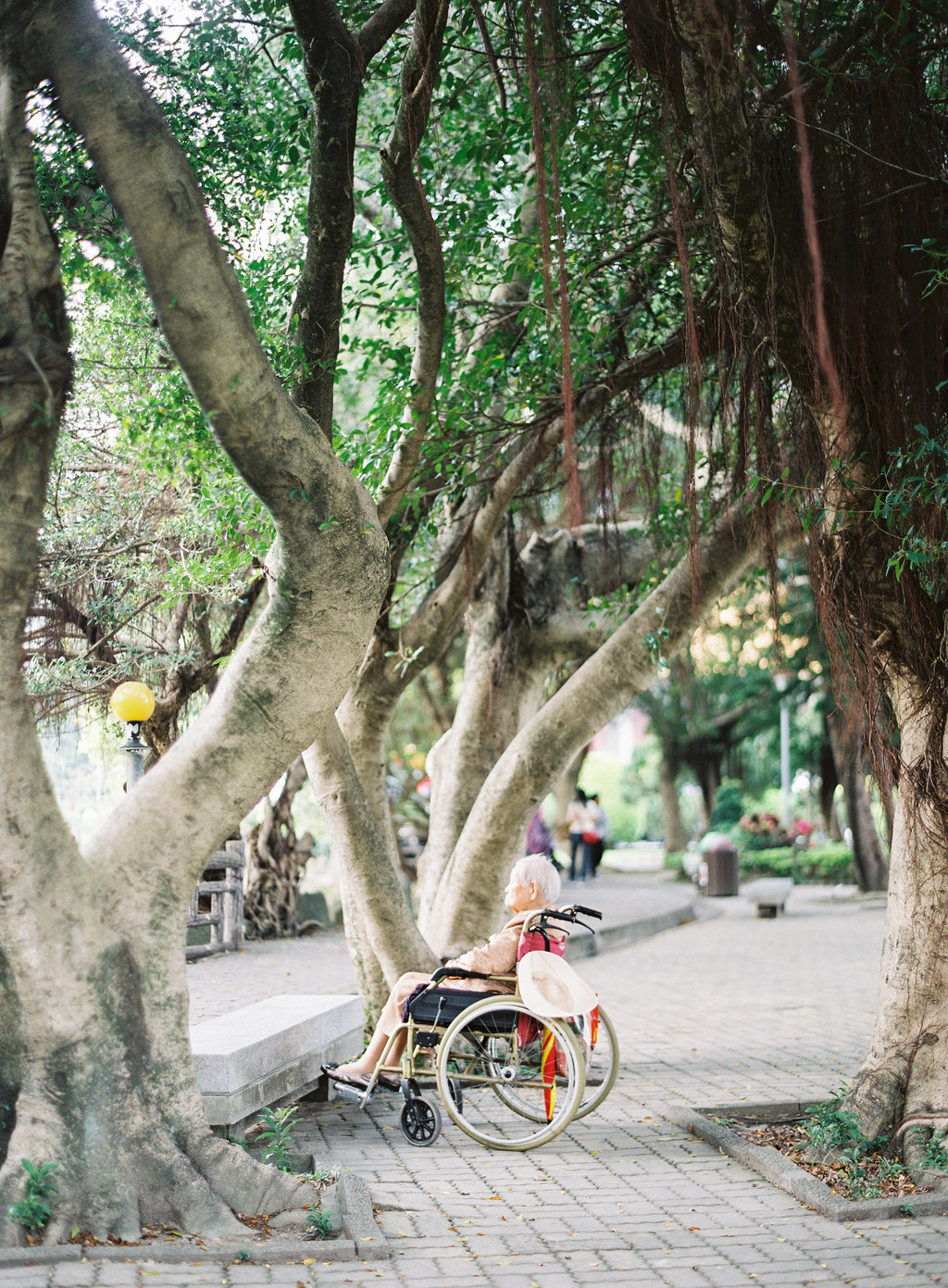 Your Guide to Taiwan now on Cottage Hill11.jpg