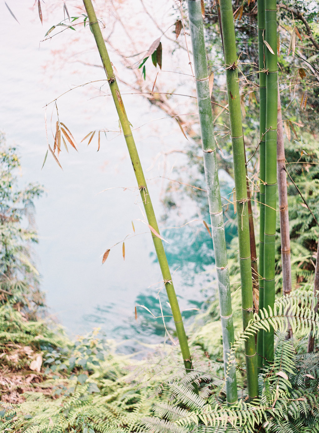 Your Guide to Taiwan now on Cottage Hill42.jpg