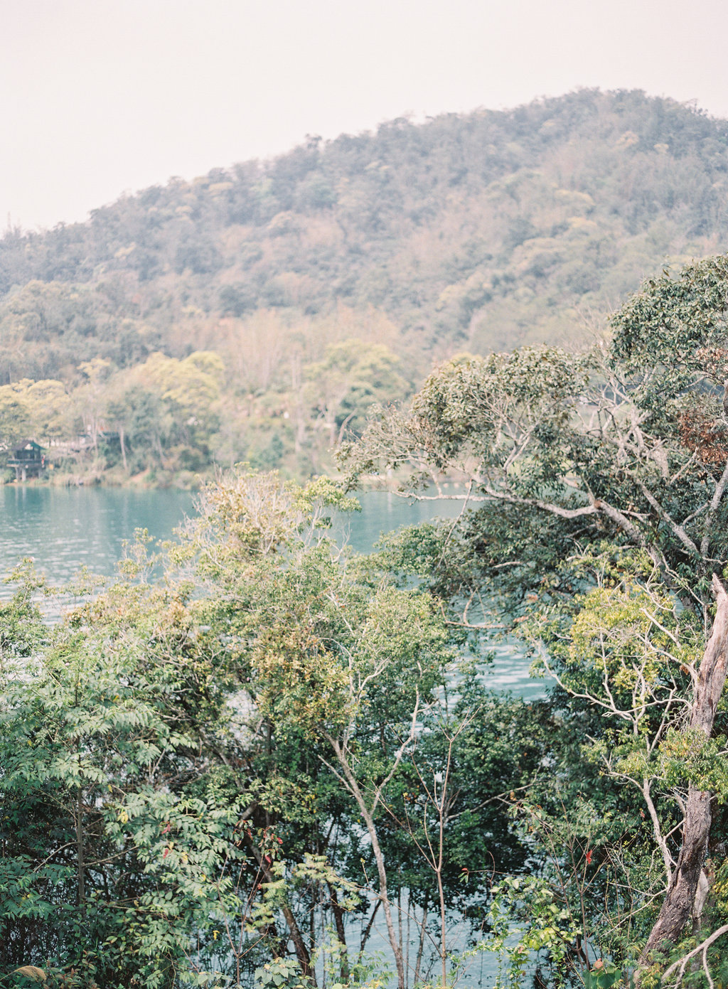 Your Guide to Taiwan now on Cottage Hill44.jpg