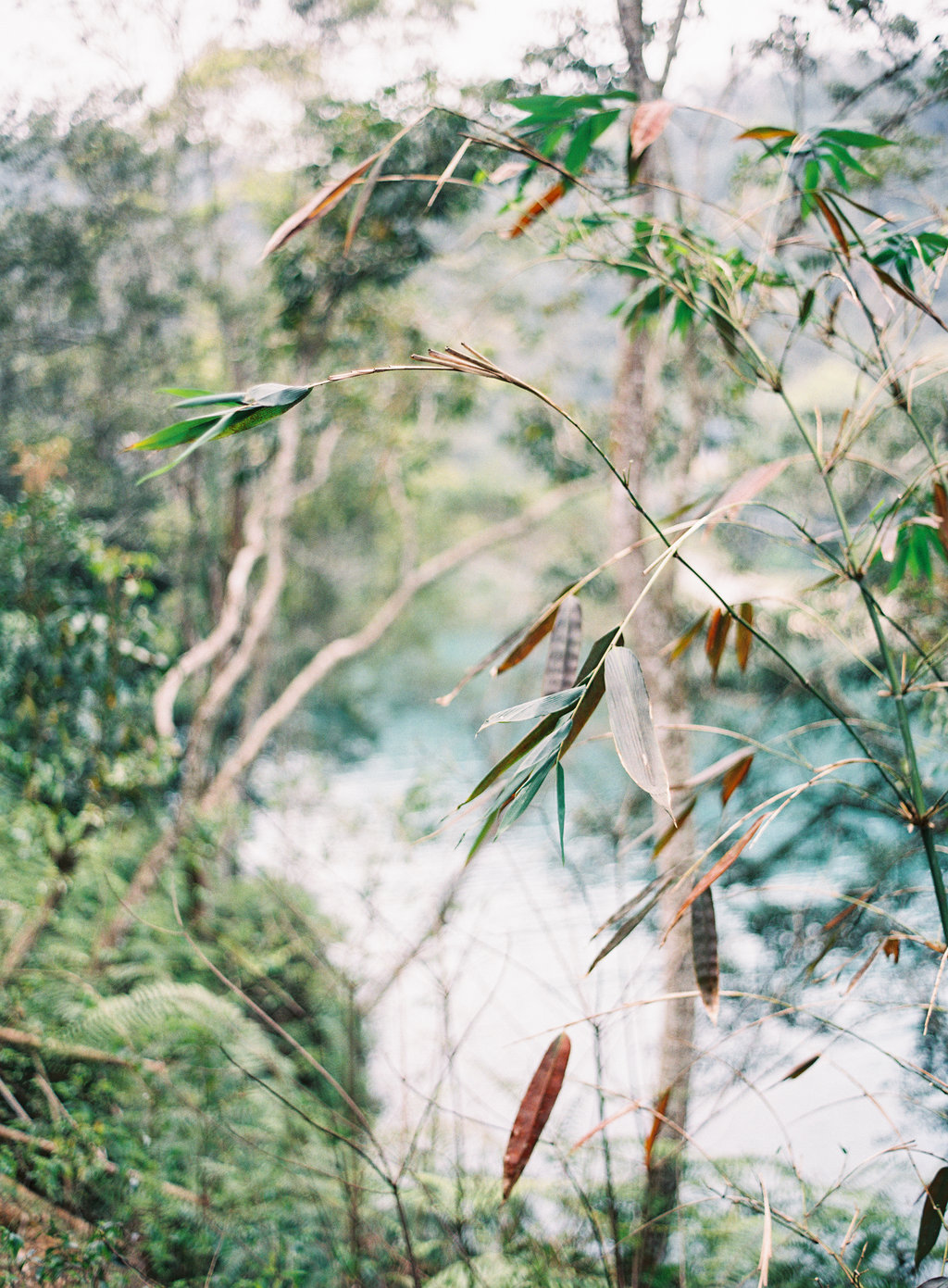 Your Guide to Taiwan now on Cottage Hill47.jpg