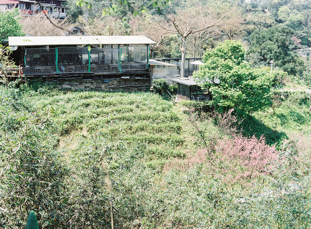 Your Guide to Taiwan now on Cottage Hill59.jpg