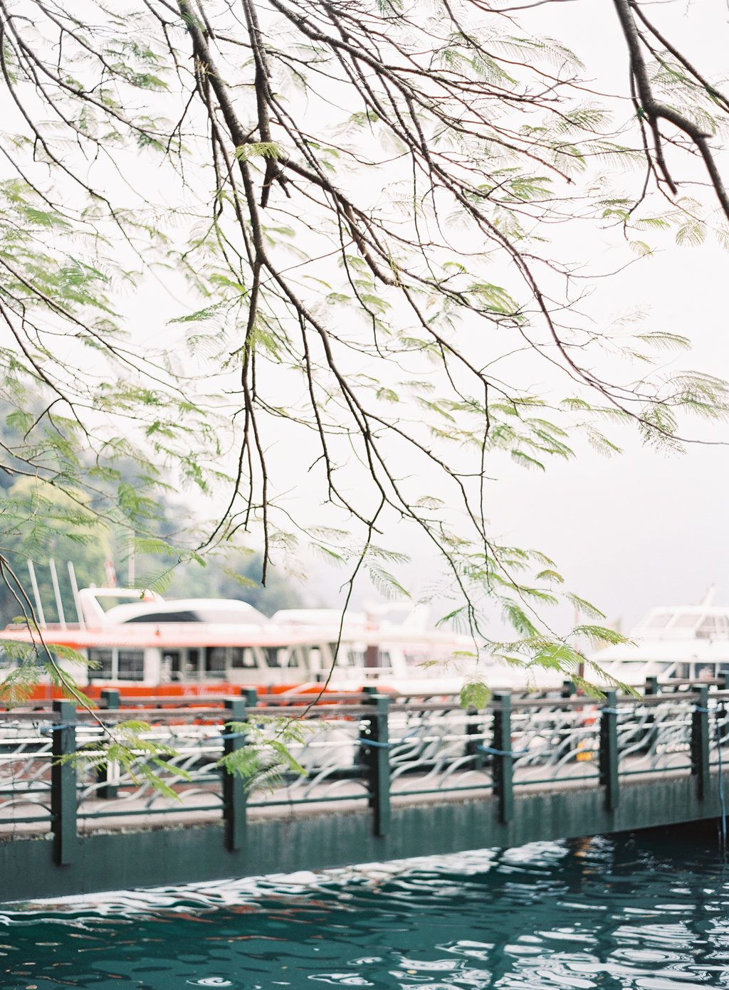 Your Guide to Taiwan now on Cottage Hill33.jpg
