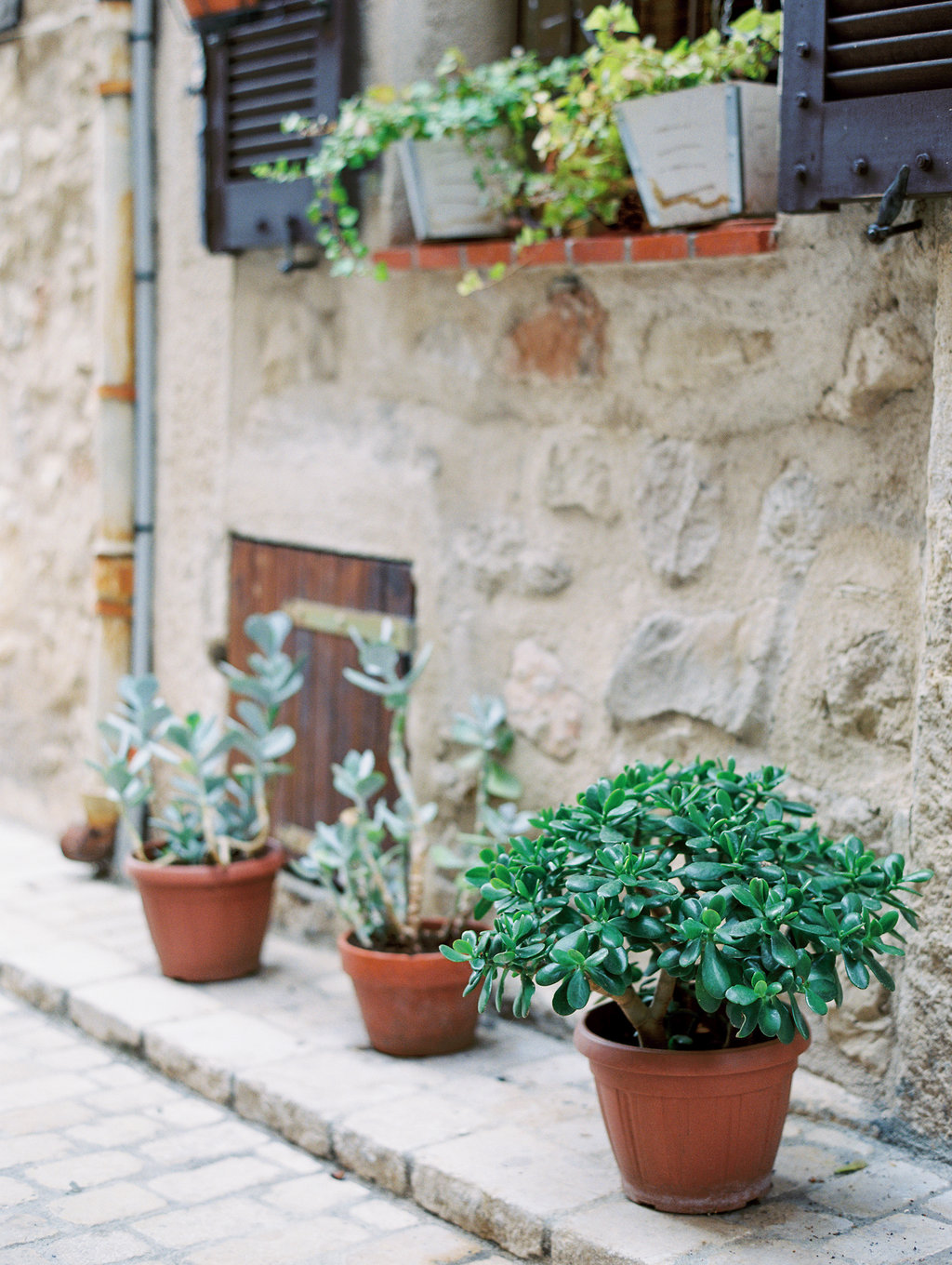 French Countryside on Cottage Hill34.jpg