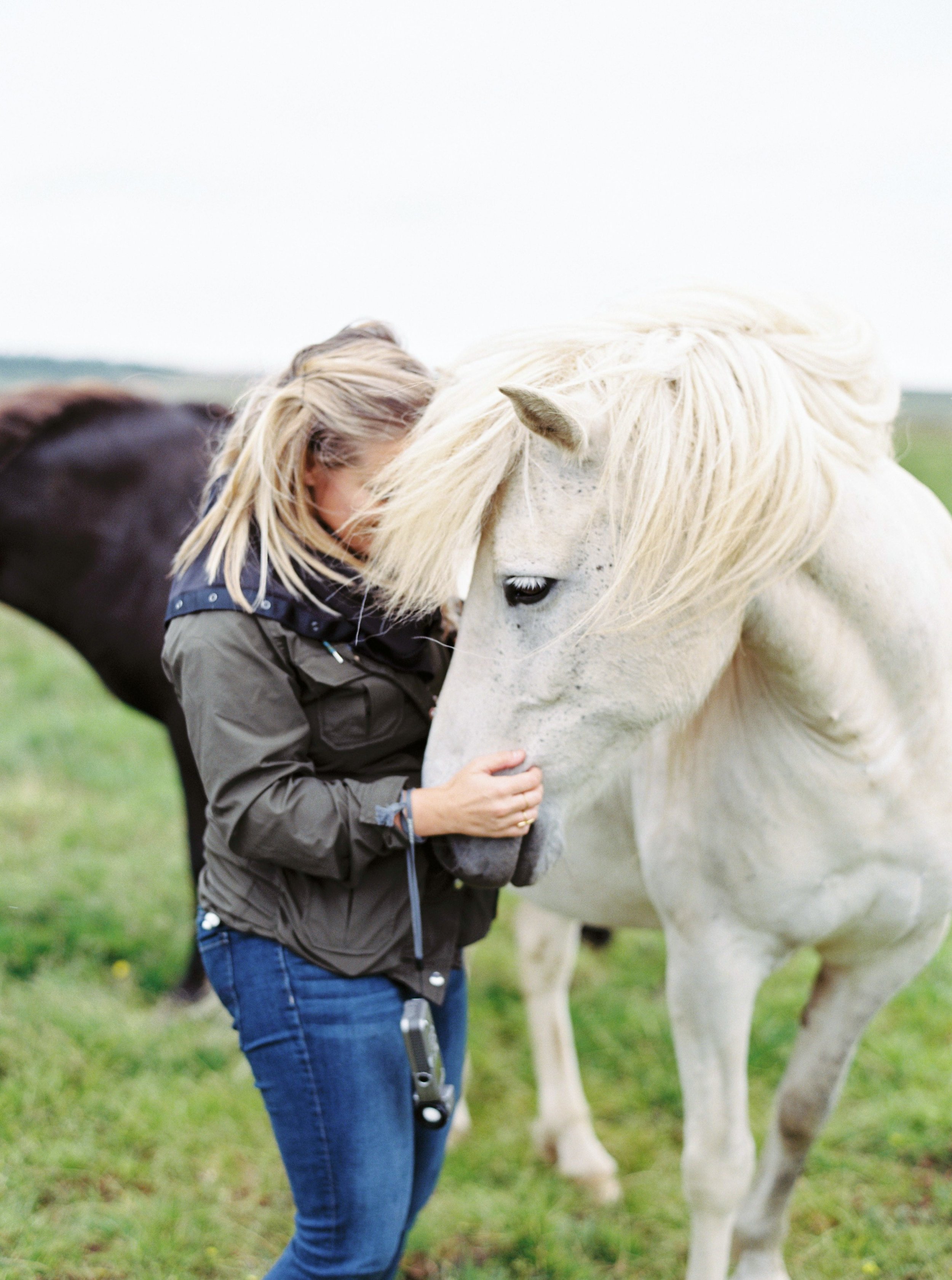 Horses in Iceland by Kristin Sweeting now on Cottage Hill1.jpg