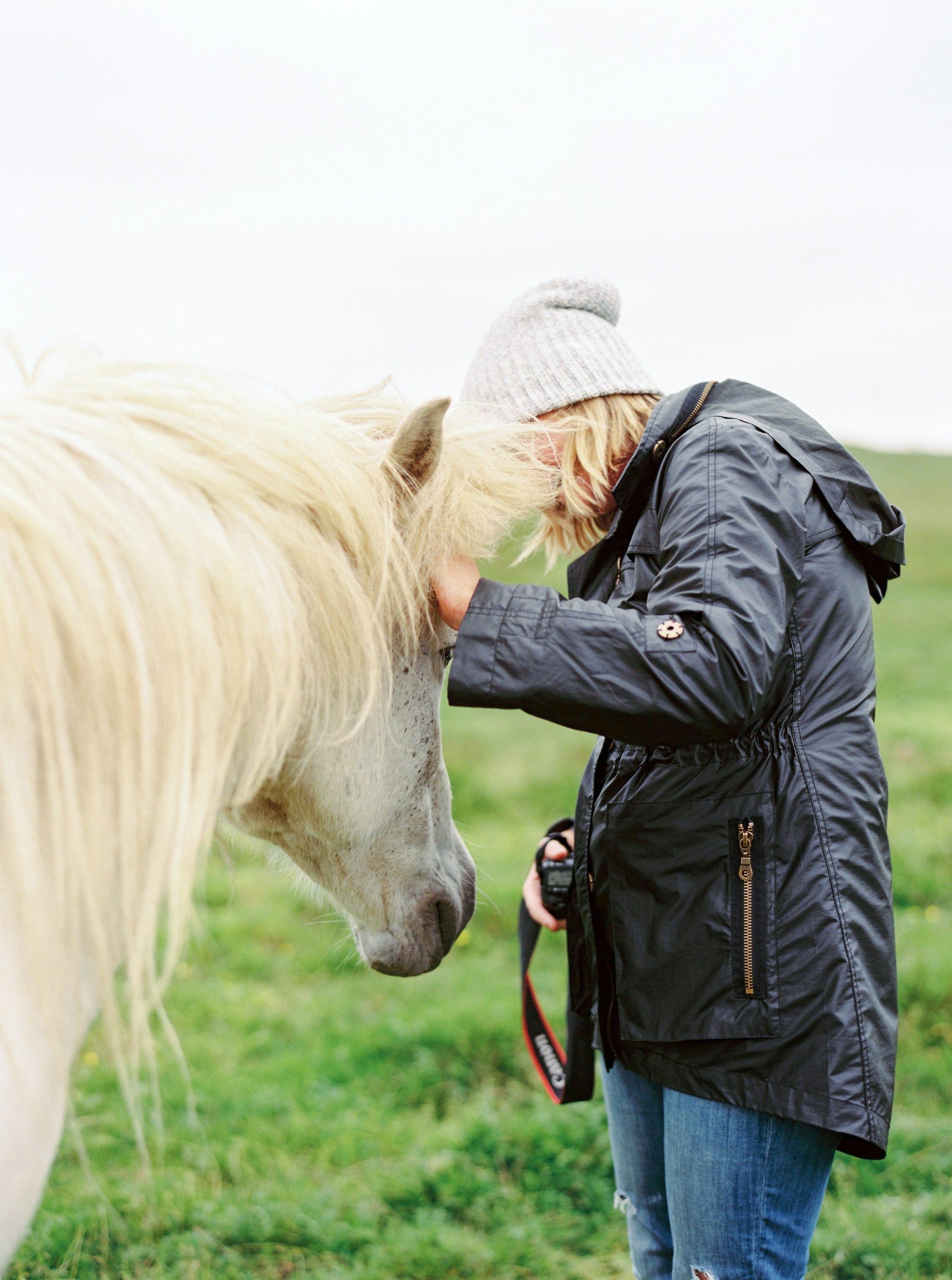 Horses in Iceland by Kristin Sweeting now on Cottage Hill3.jpg