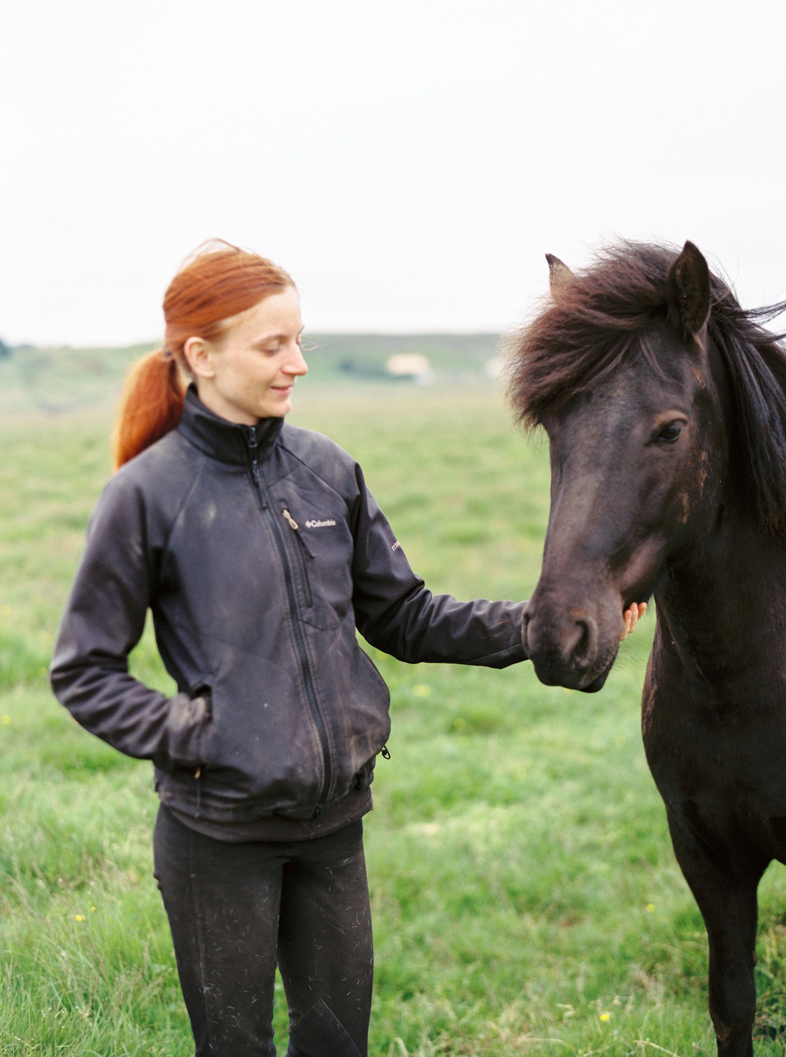 Horses in Iceland by Kristin Sweeting now on Cottage Hill4.jpg