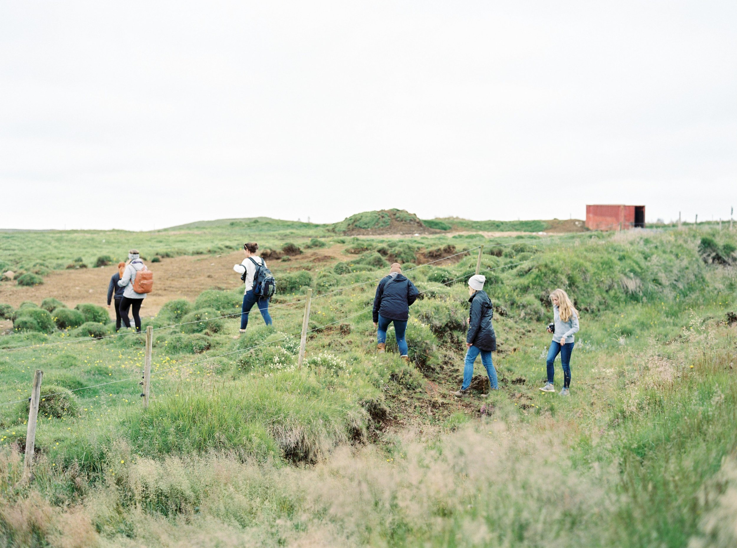 Horses in Iceland by Kristin Sweeting now on Cottage Hill8.jpg