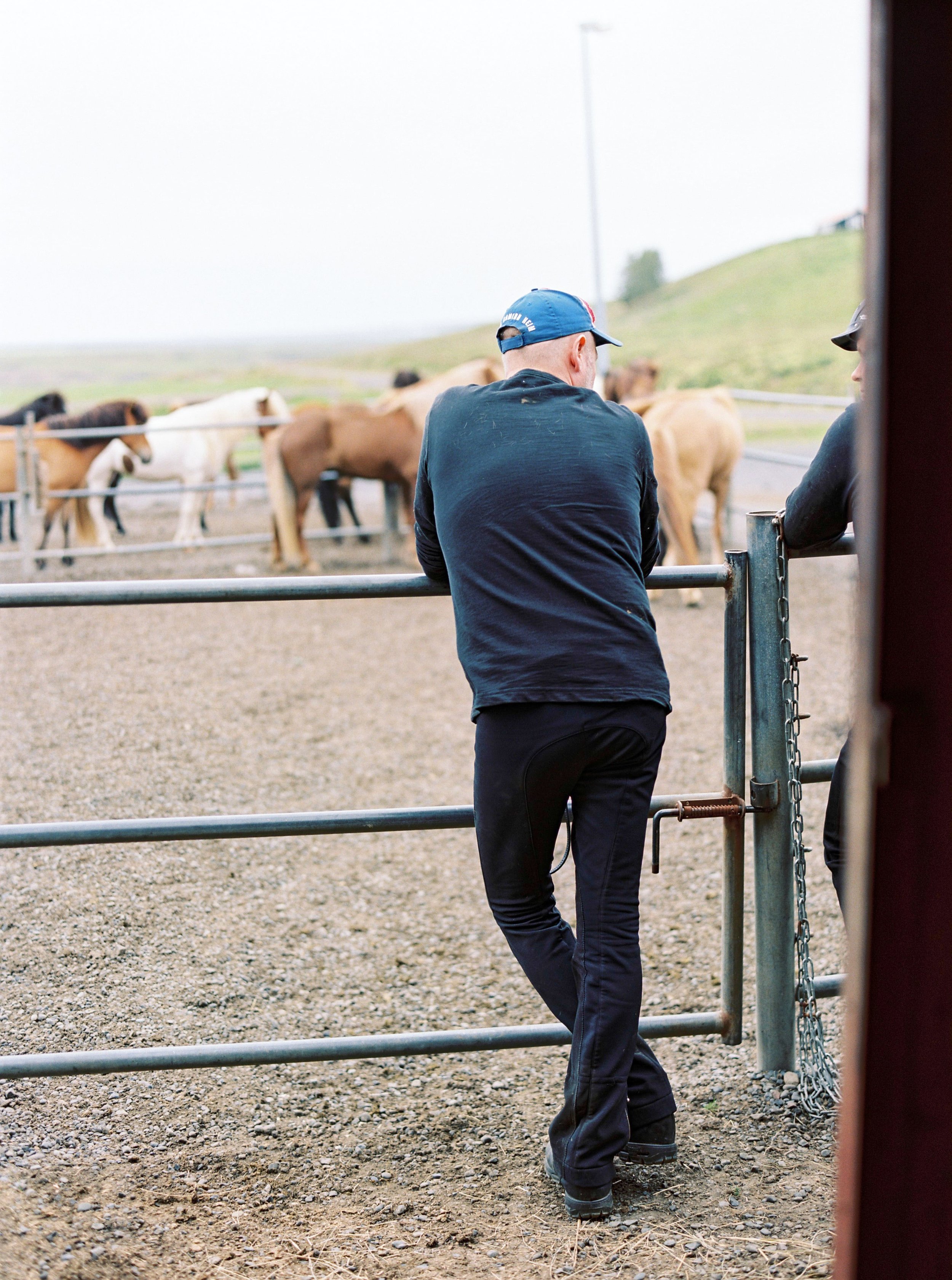 Horses in Iceland by Kristin Sweeting now on Cottage Hill19.jpg