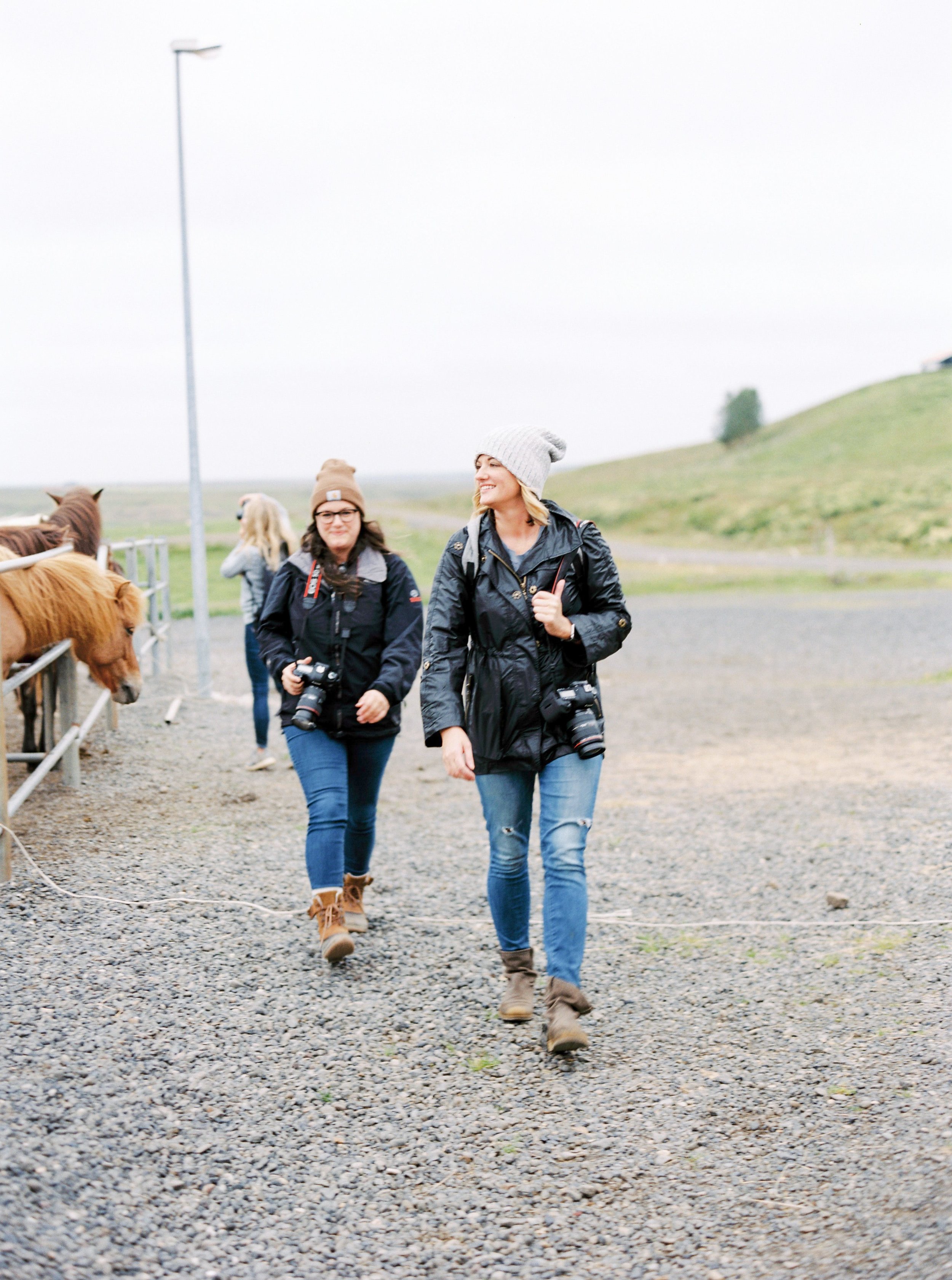 Horses in Iceland by Kristin Sweeting now on Cottage Hill28.jpg