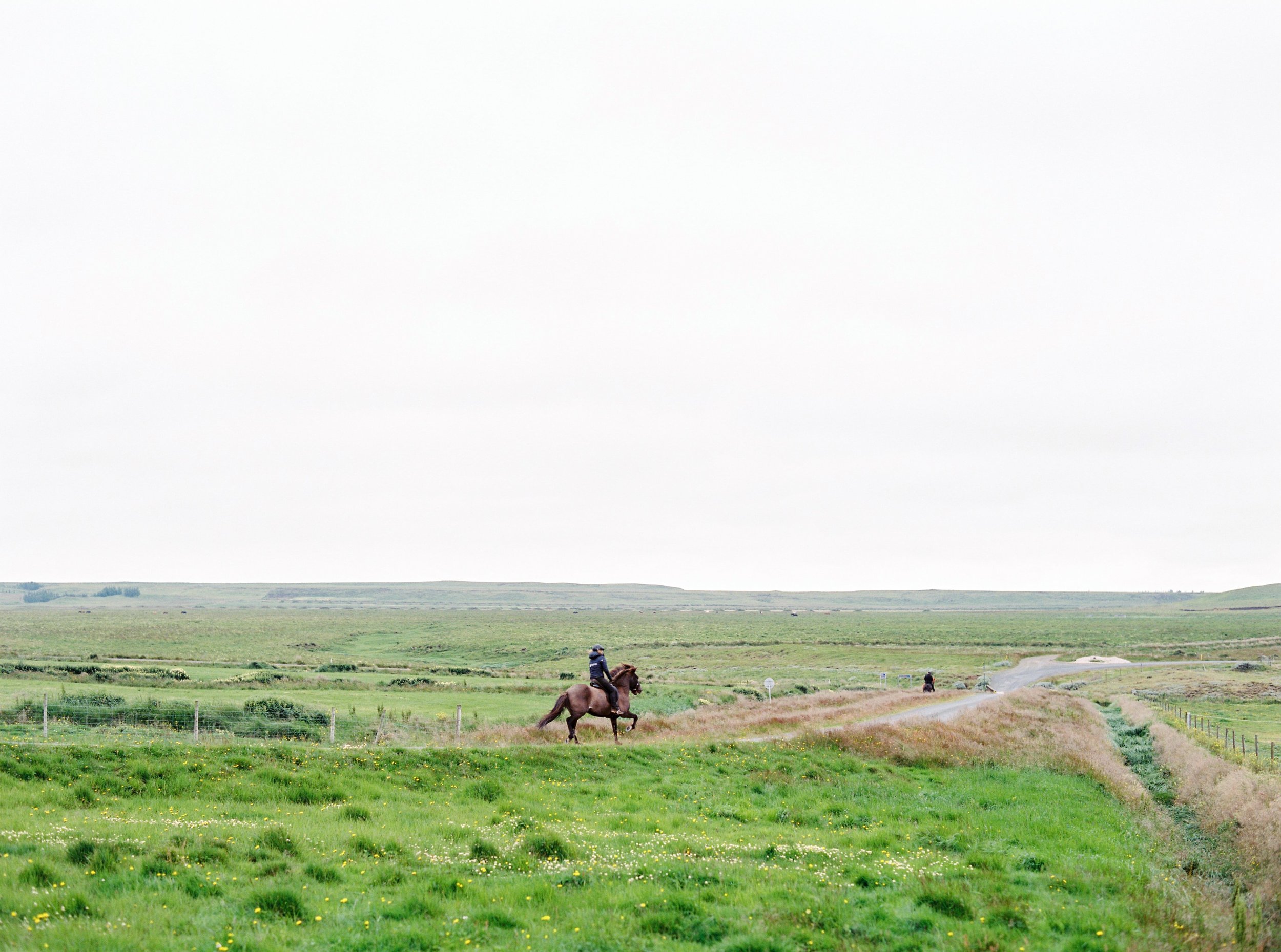 Horses in Iceland by Kristin Sweeting now on Cottage Hill35.jpg