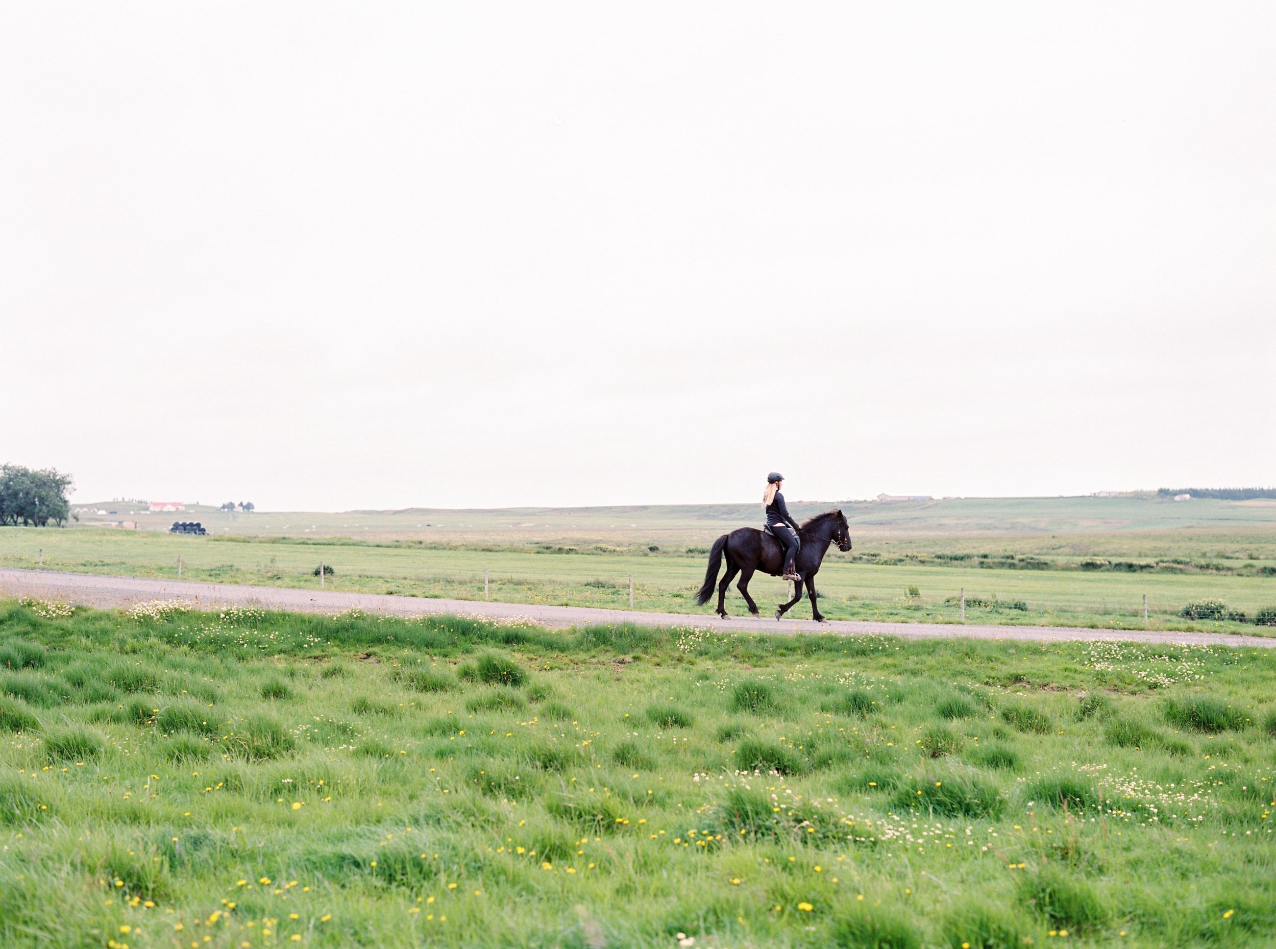 Horses in Iceland by Kristin Sweeting now on Cottage Hill36.jpg