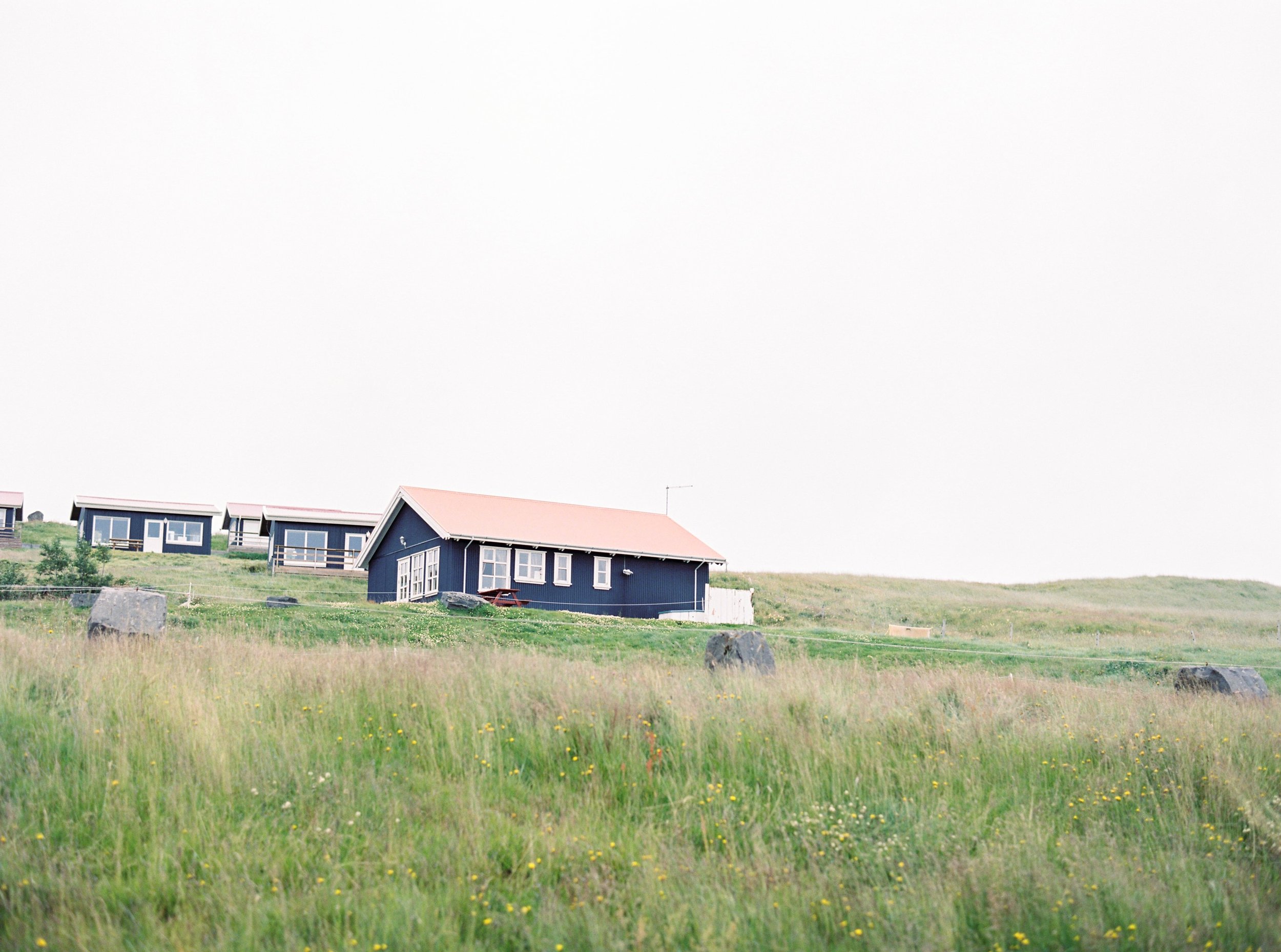 Horses in Iceland by Kristin Sweeting now on Cottage Hill42.jpg