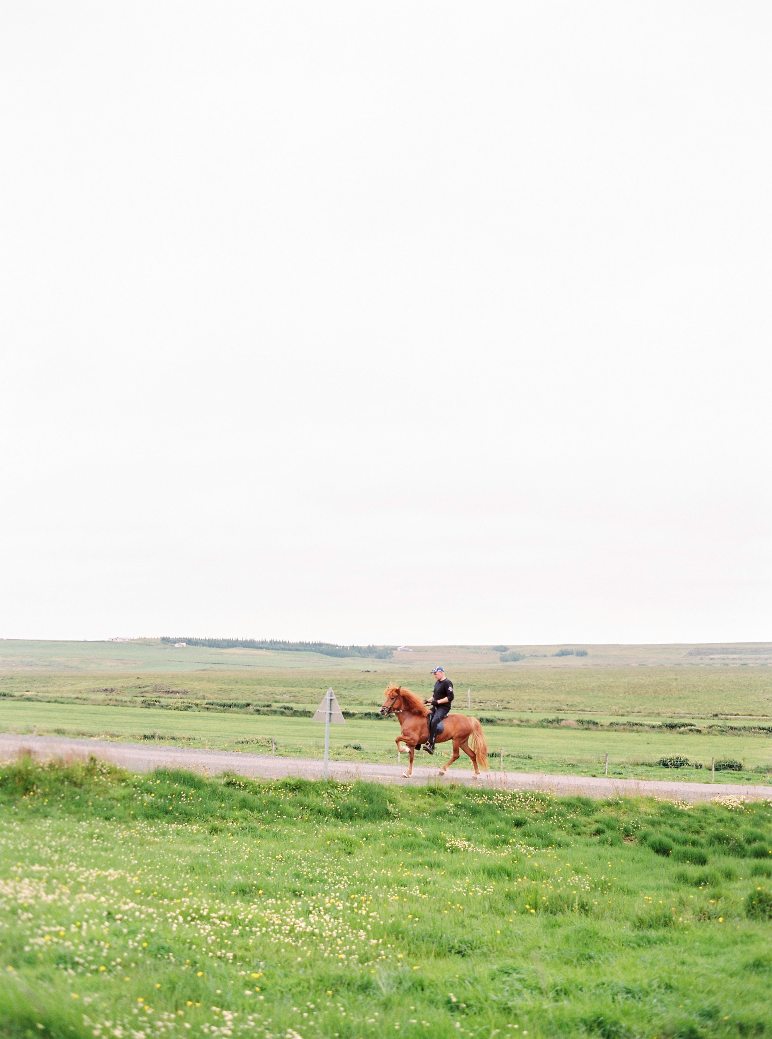 Horses in Iceland by Kristin Sweeting now on Cottage Hill47.jpg