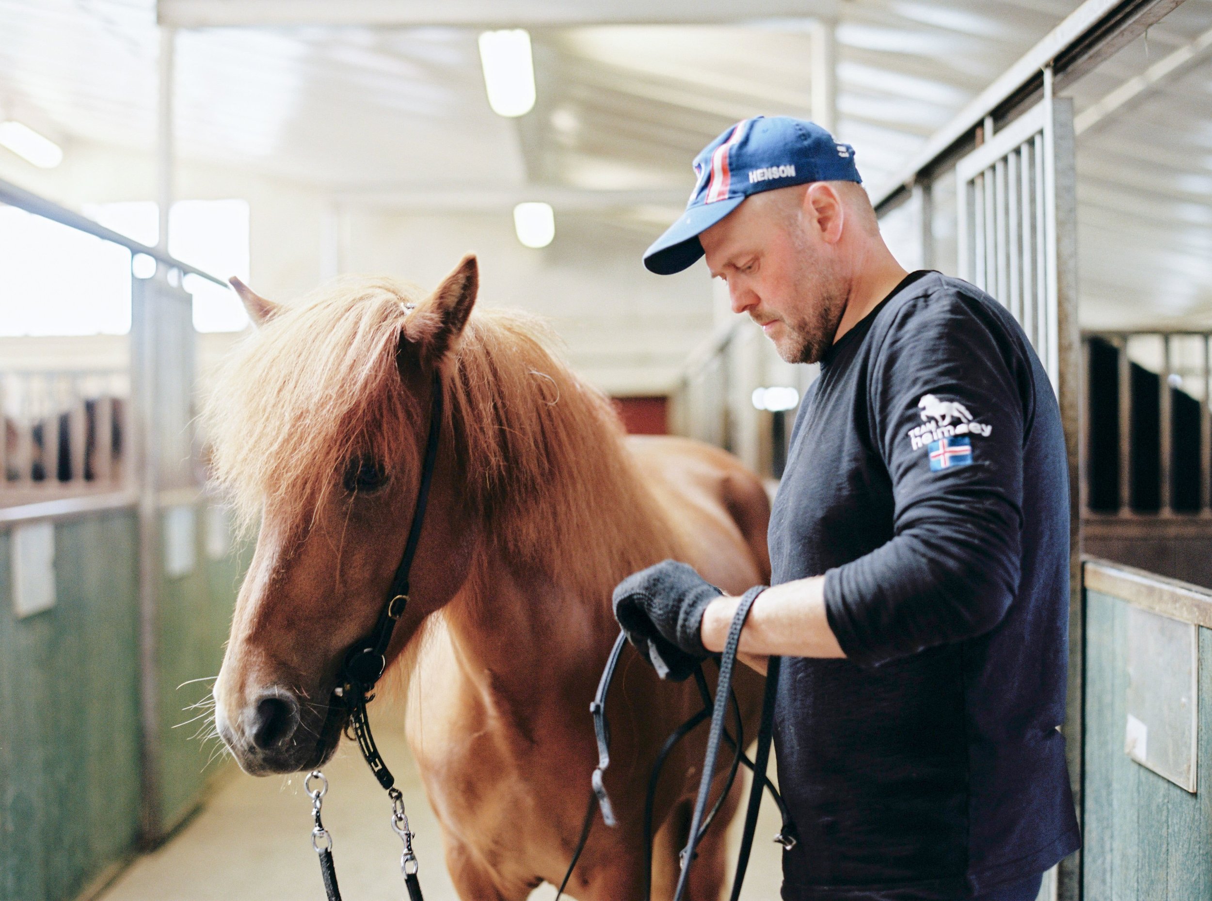 Horses in Iceland by Kristin Sweeting now on Cottage Hill55.jpg