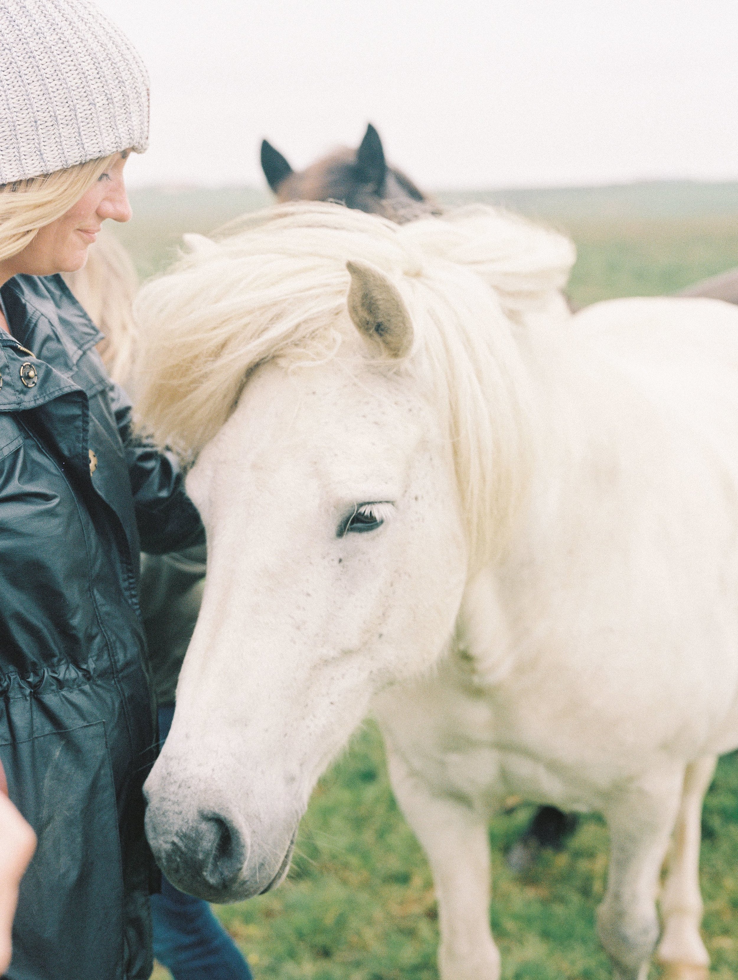 Horses in Iceland by Elli Jane now on Cottage Hill2.jpg