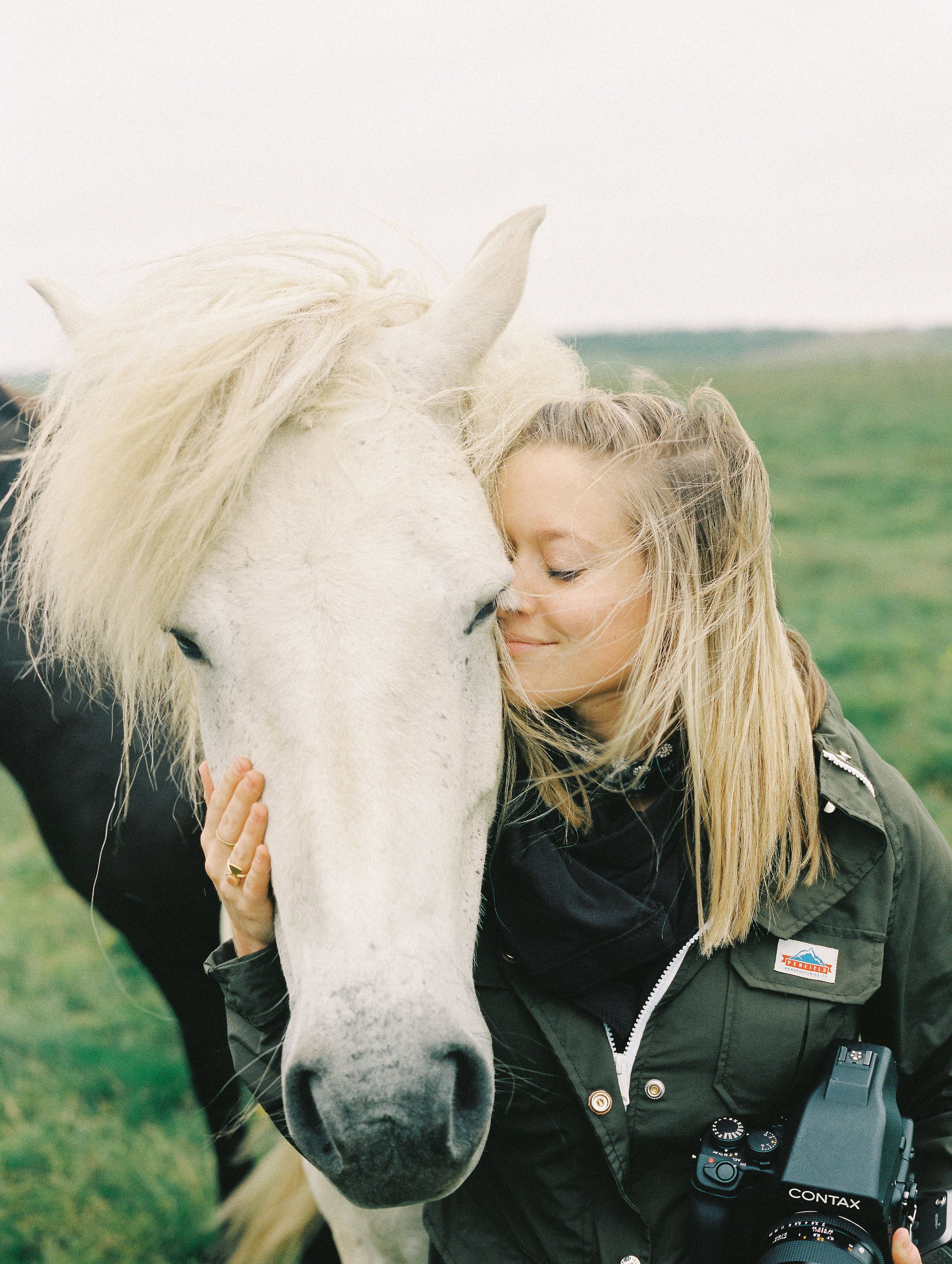 Horses in Iceland by Elli Jane now on Cottage Hill4.jpg