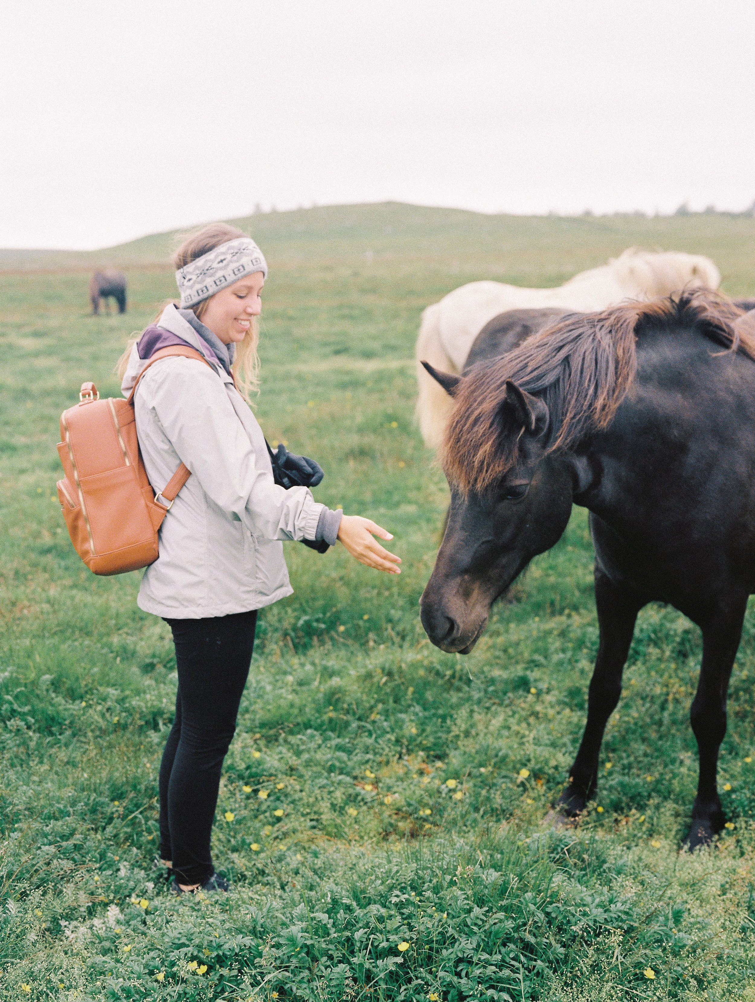 Horses in Iceland by Elli Jane now on Cottage Hill6.jpg