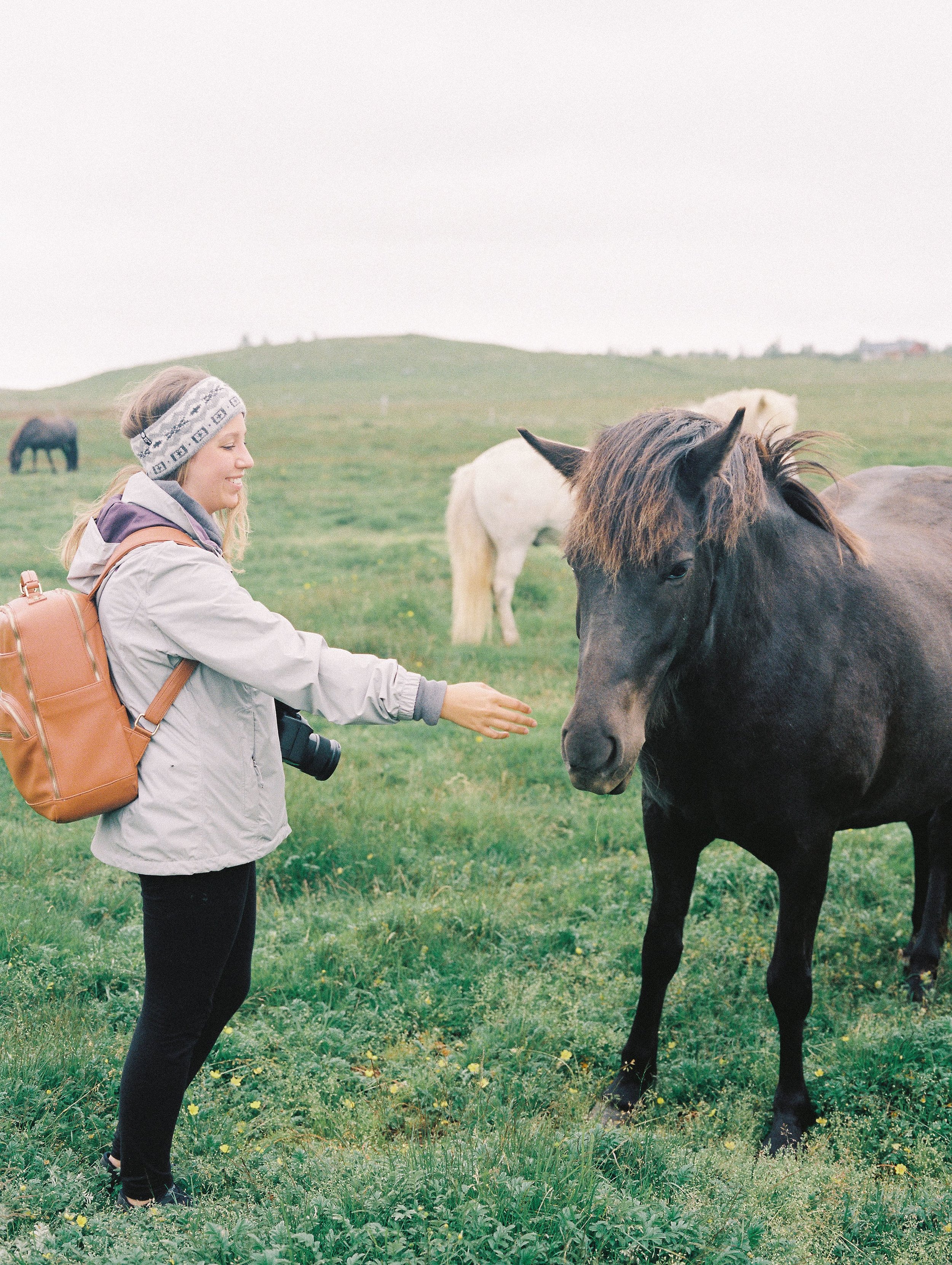 Horses in Iceland by Elli Jane now on Cottage Hill7.jpg