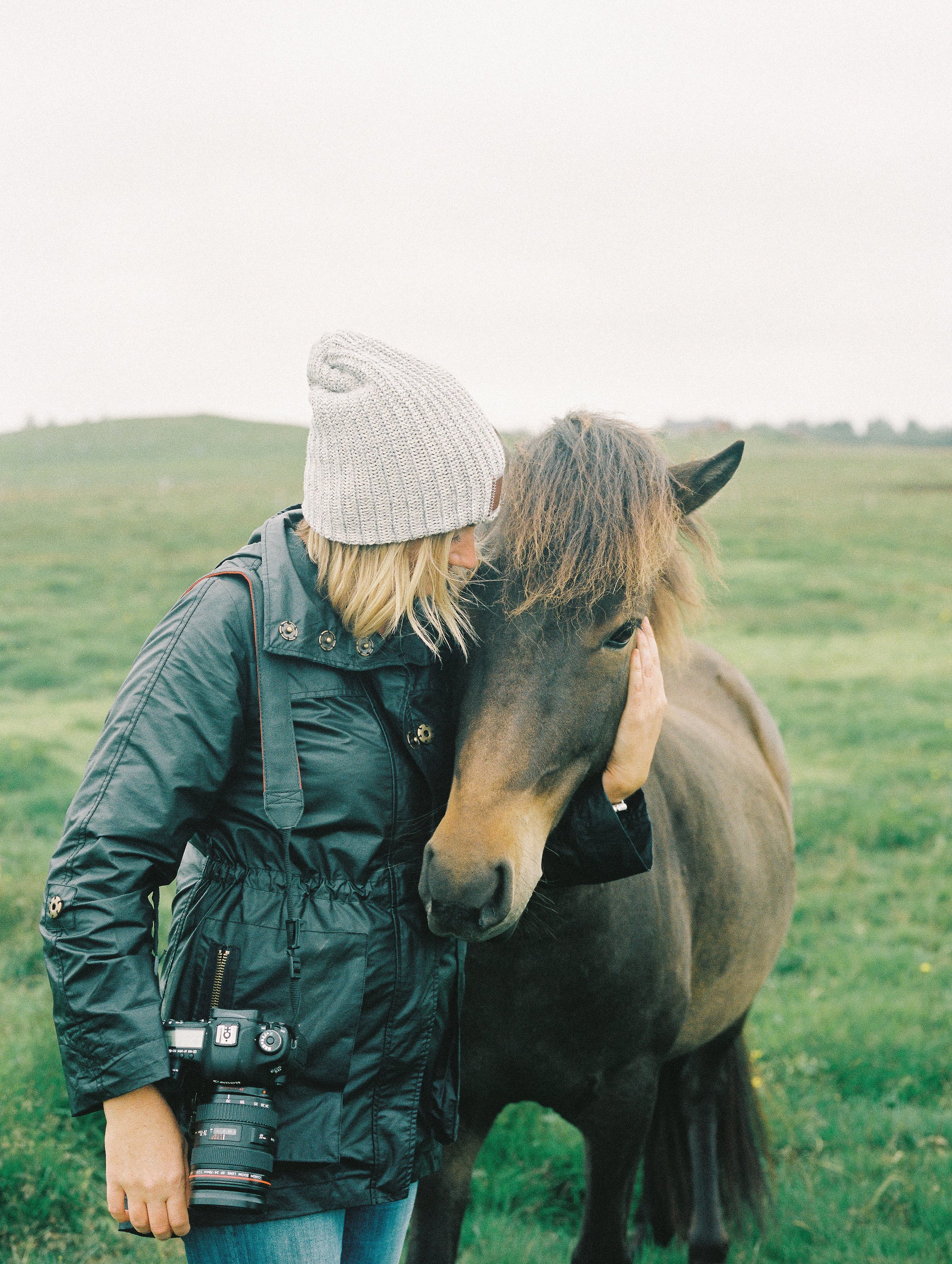 Horses in Iceland by Elli Jane now on Cottage Hill8.jpg