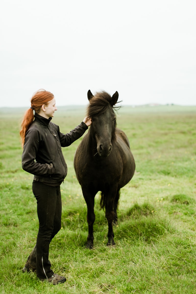 Horses in Iceland by Abigail Lauren now on Cottage Hill4.jpg