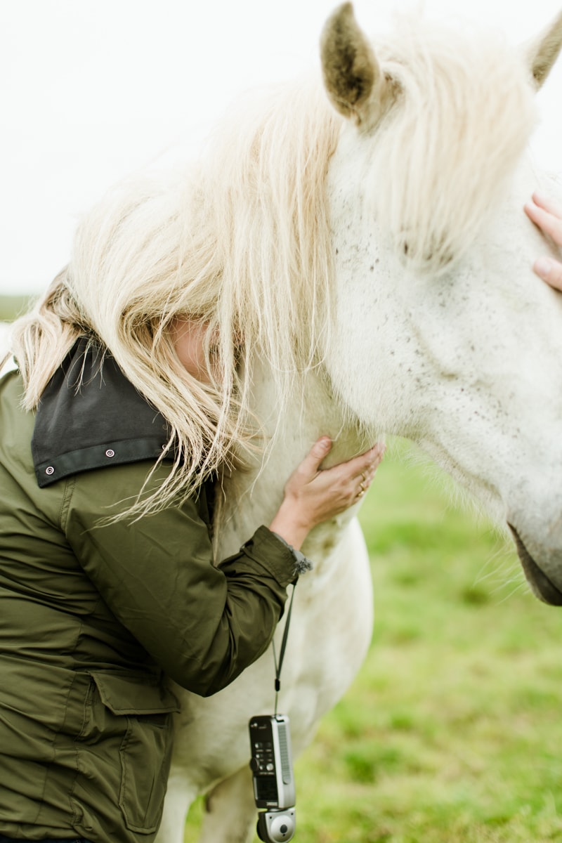 Horses in Iceland by Abigail Lauren now on Cottage Hill6.jpg