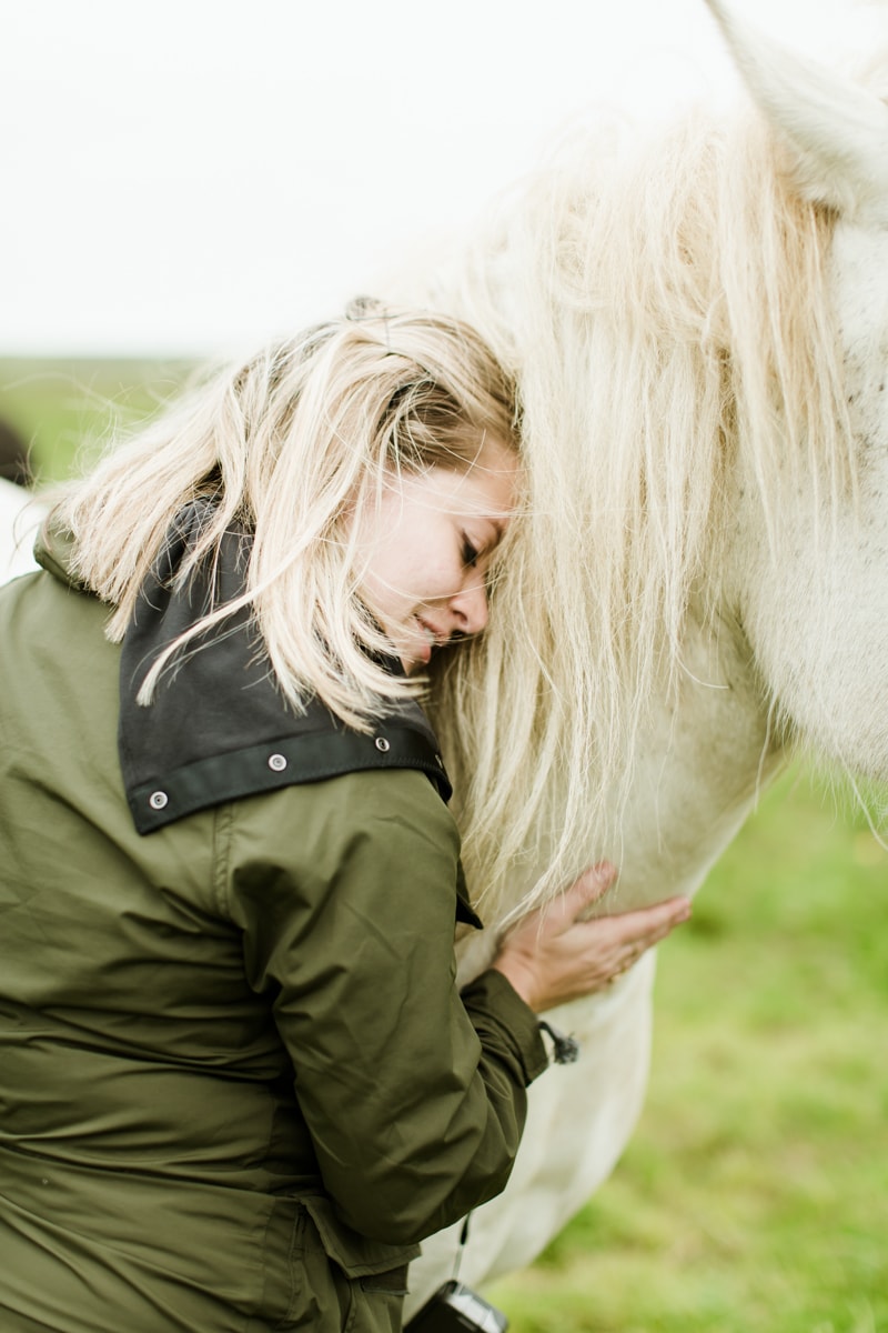 Horses in Iceland by Abigail Lauren now on Cottage Hill8.jpg