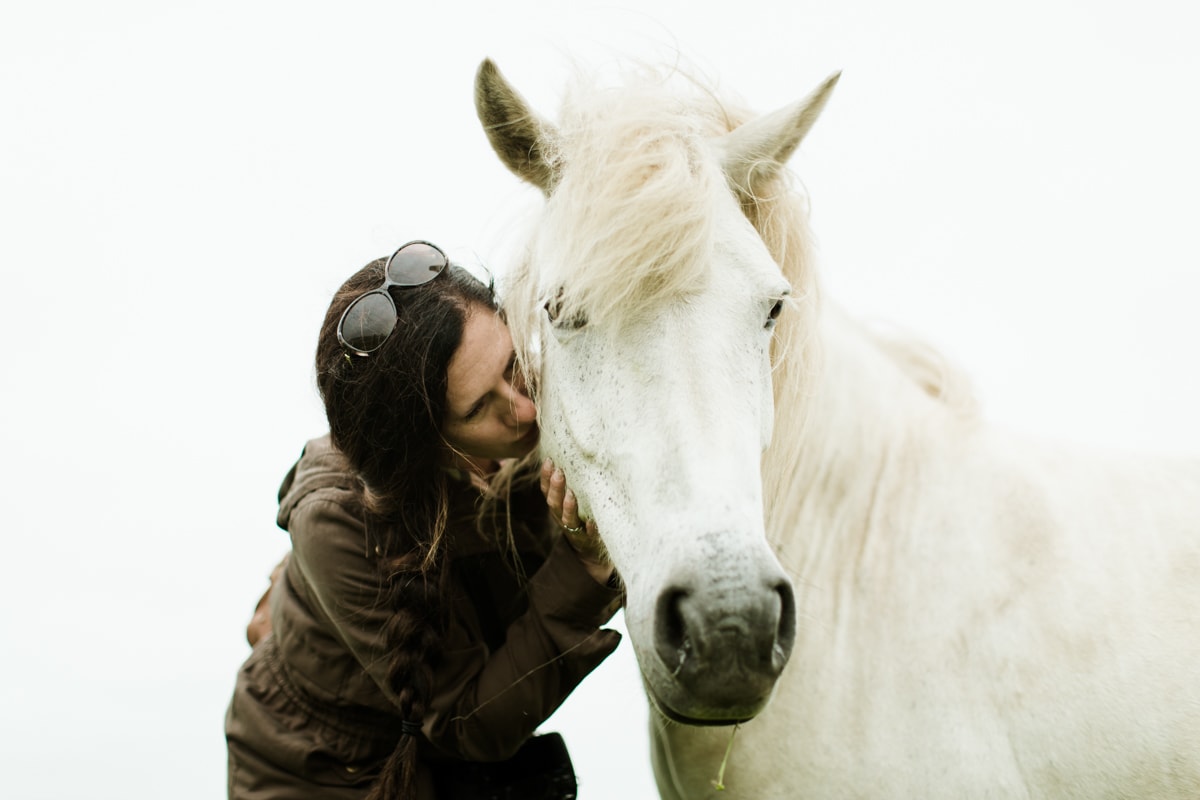Horses in Iceland by Abigail Lauren now on Cottage Hill20.jpg