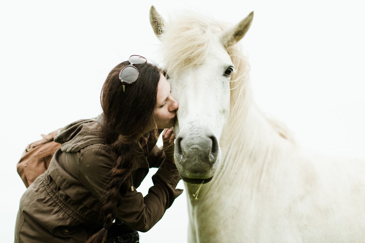 Horses in Iceland by Abigail Lauren now on Cottage Hill21.jpg