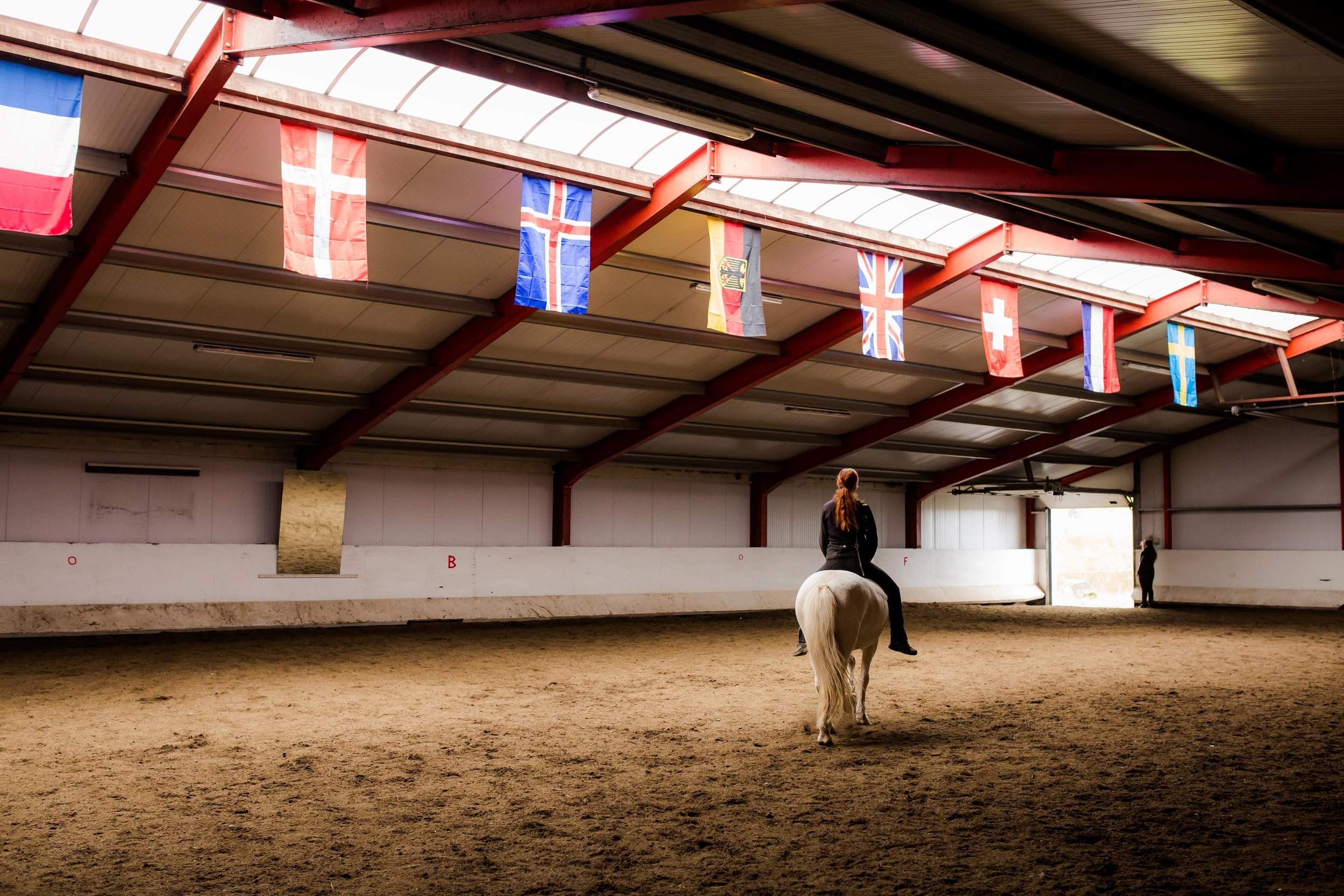 Horses in Iceland by Christina Swanson now on Cottage Hill13.jpg