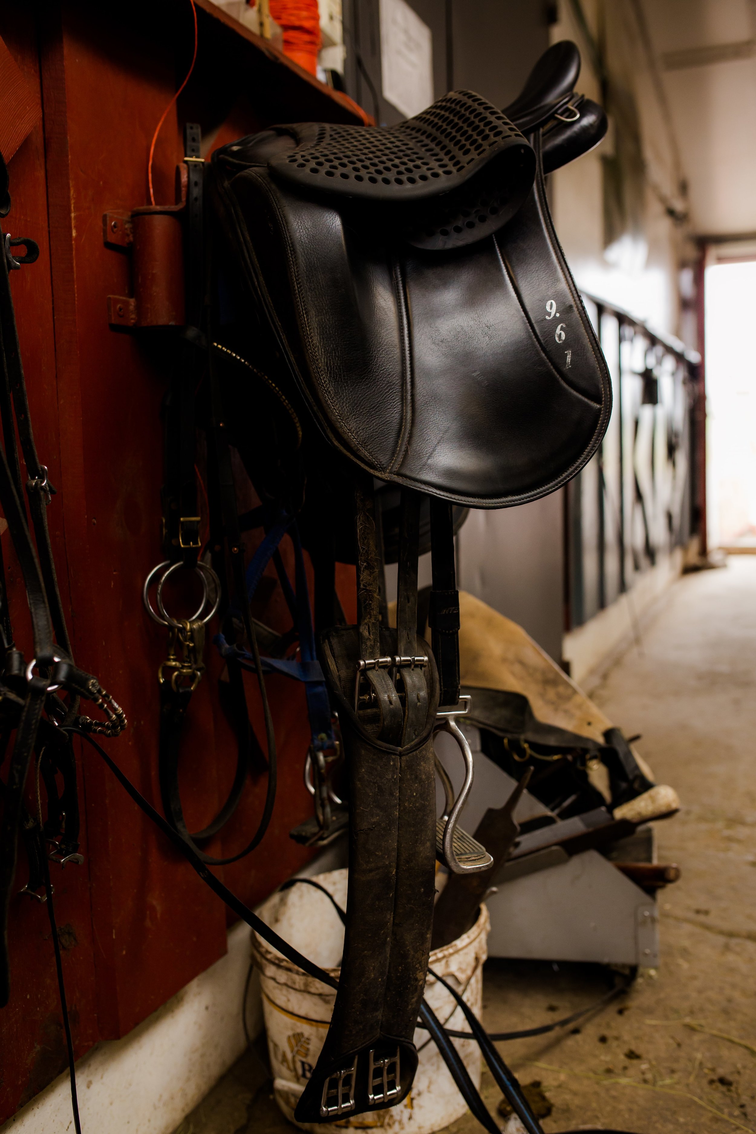 Horses in Iceland by Christina Swanson now on Cottage Hill19.jpg