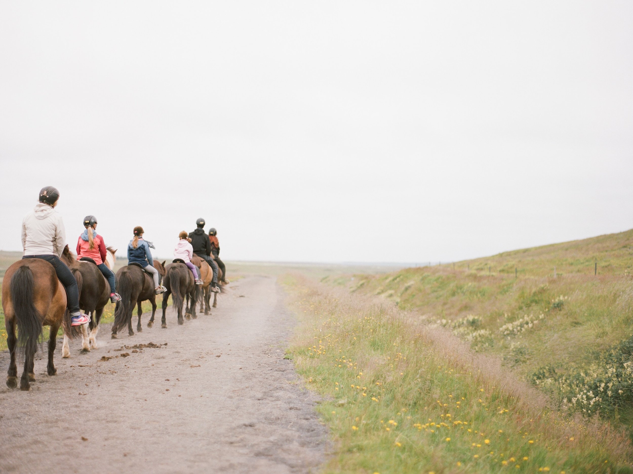 Horses in Iceland by Catherine Taylor now on Cottage Hill10.jpg