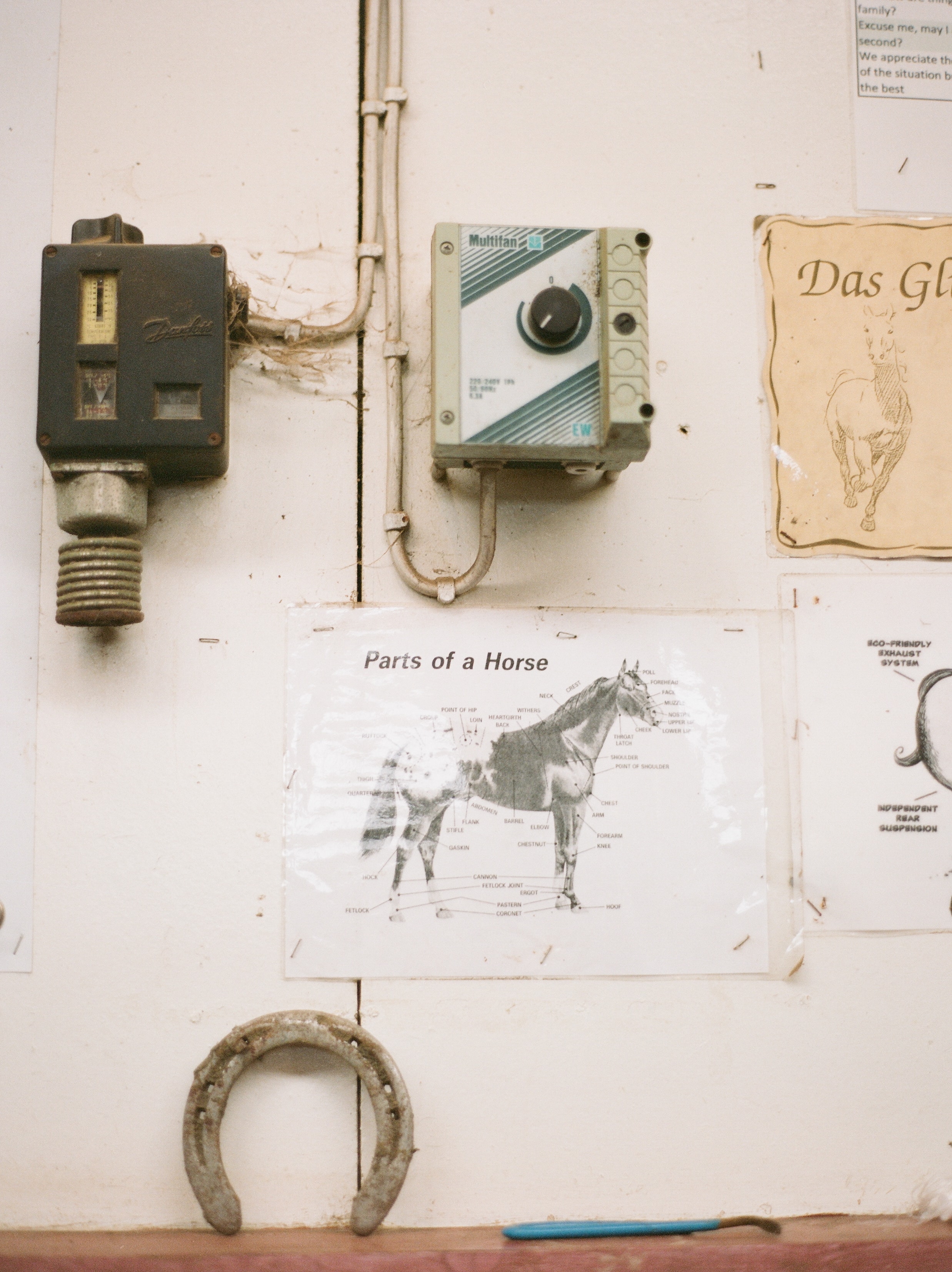 Horses in Iceland by Catherine Taylor now on Cottage Hill11.jpg