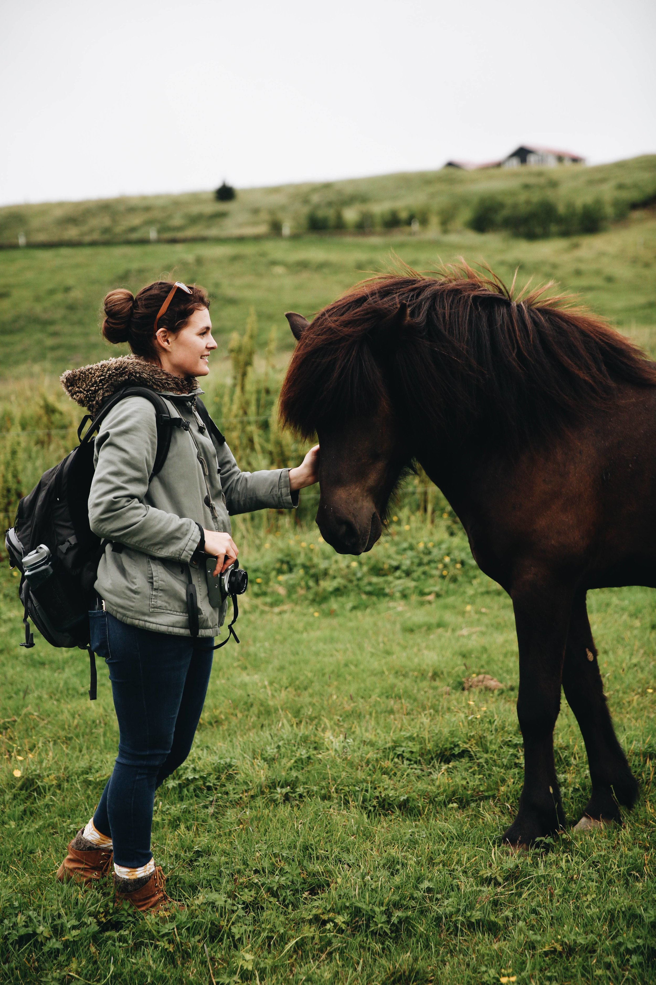 Horses in Iceland by Jessie Watts now on Cottage Hill5.jpg