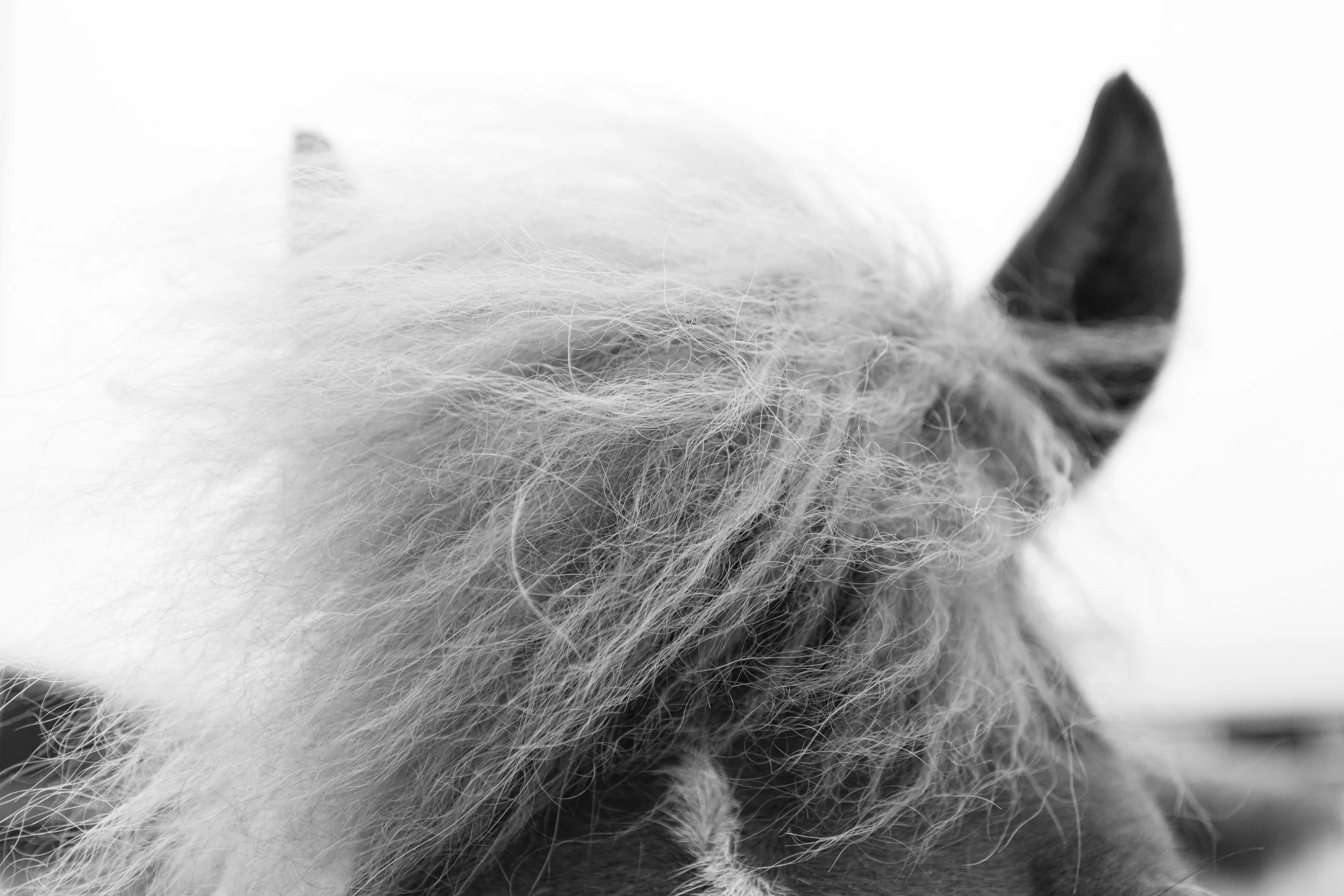 Photograph by Jen Madigan