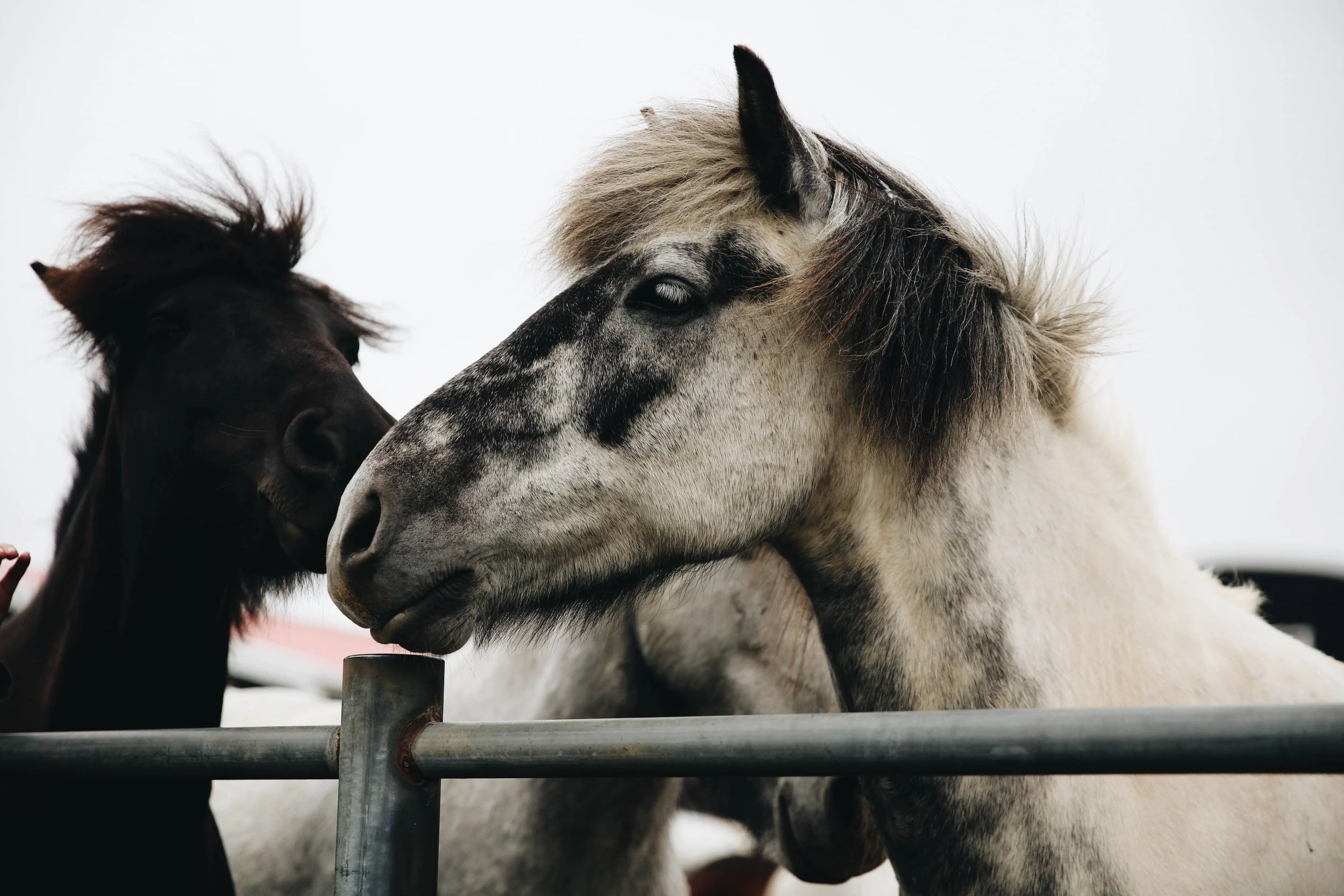 Photograph by Jessie Watts