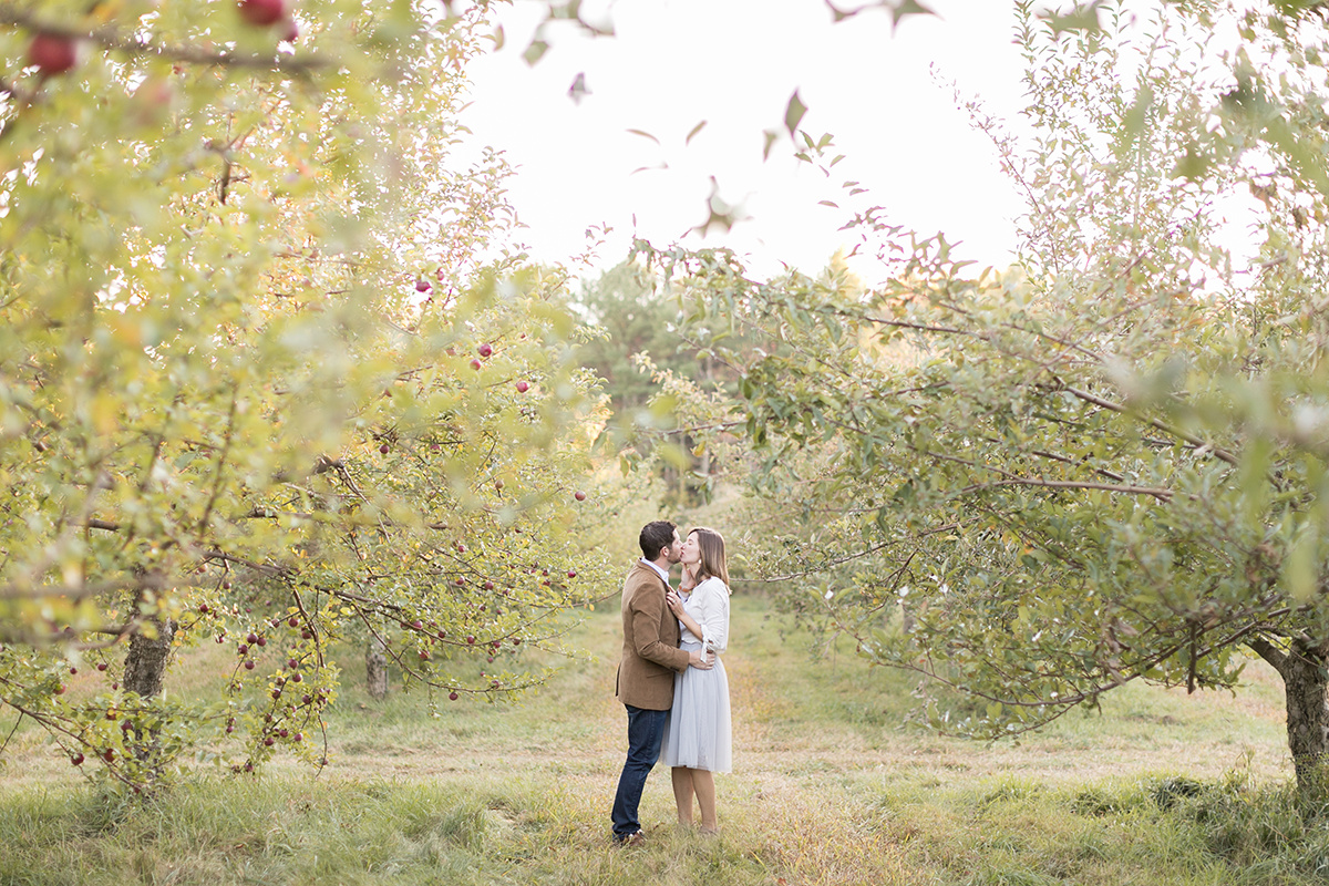 Fall Apple Orchard now on Cottage Hill33.jpg