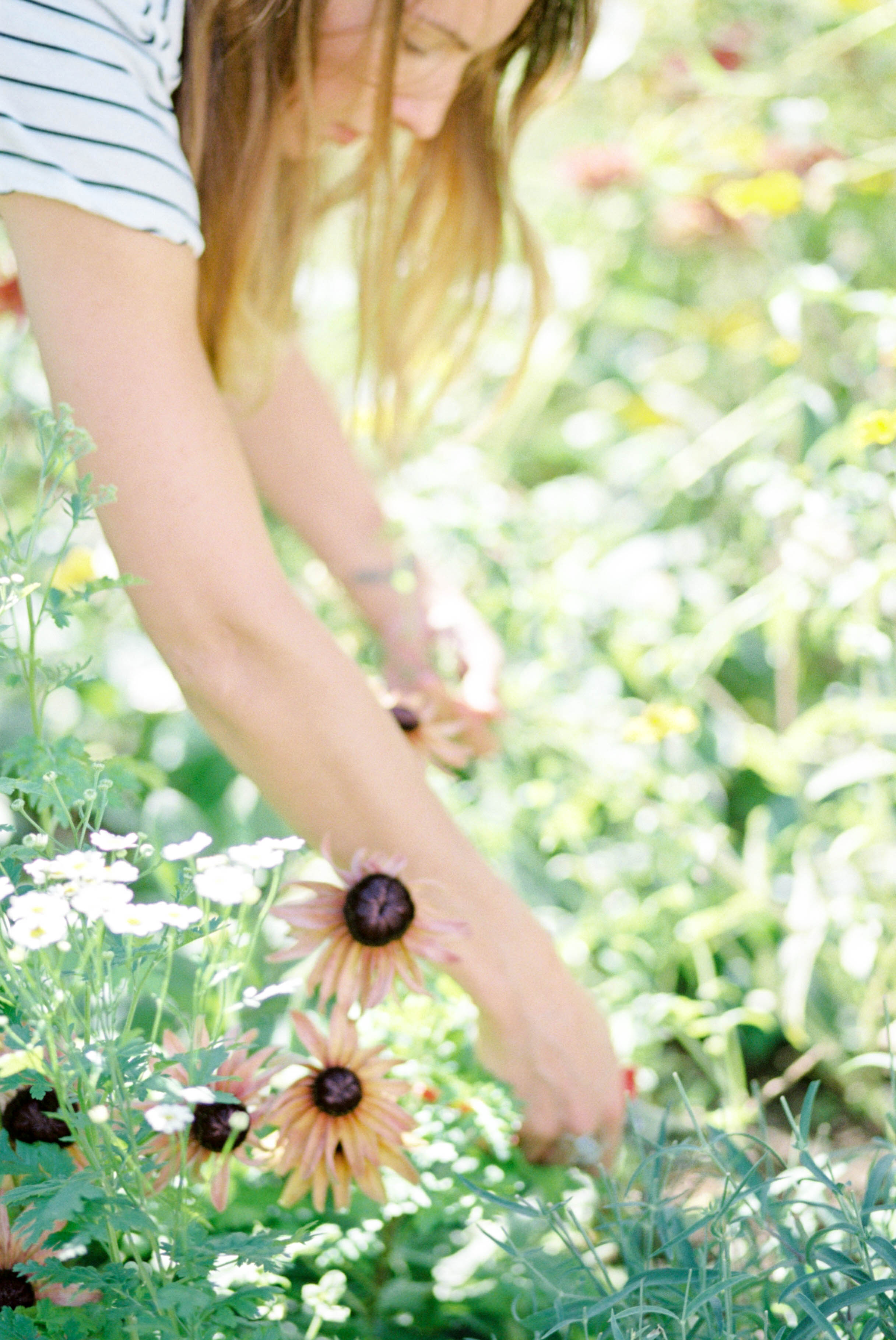 Creating a Cutting Garden on cottagehill.co10.jpg