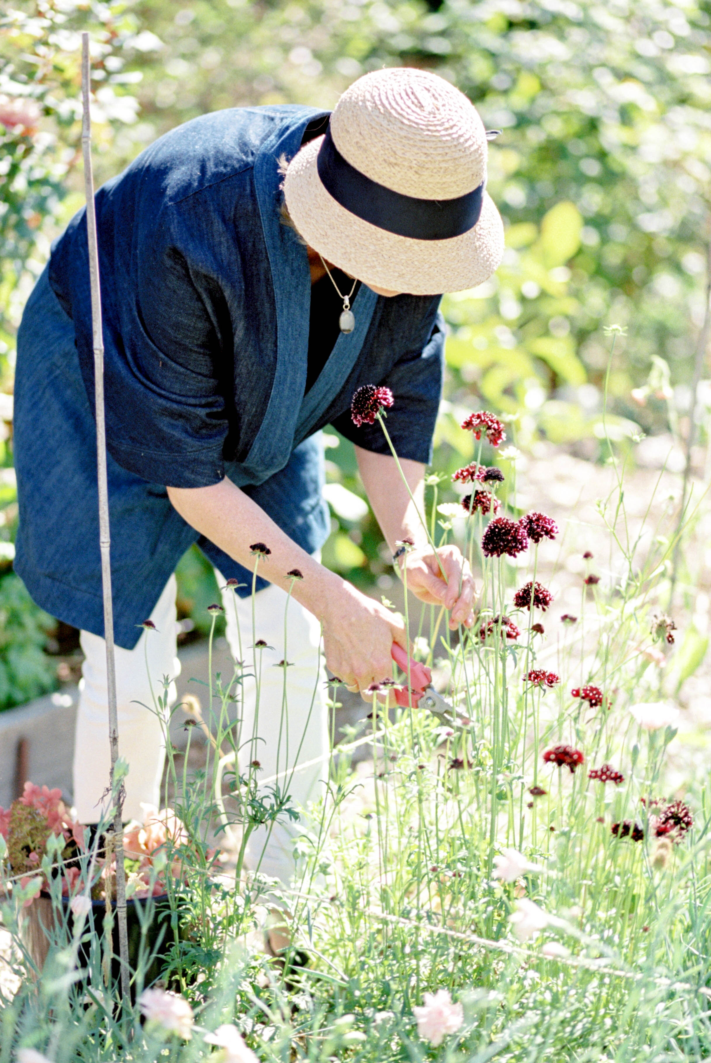 Creating a Cutting Garden on cottagehill.co9.jpg