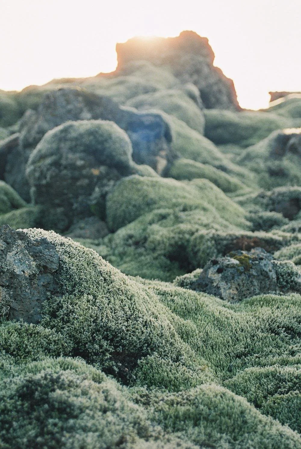 Exploring Iceland on cottagehill.co27.jpg