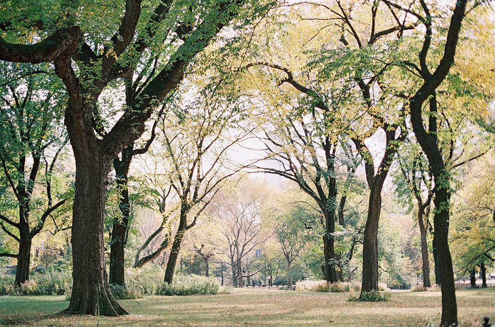 New York City Architecture as seen on Cottage Hill cottagehill.co31.jpg