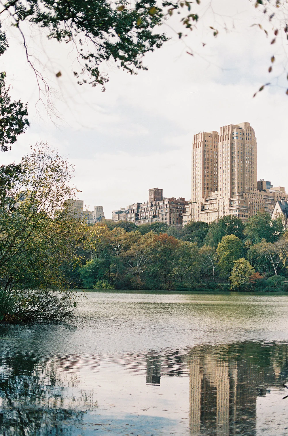 Photography by Stephanie Gan , Film Processed by Richard Photo Lab