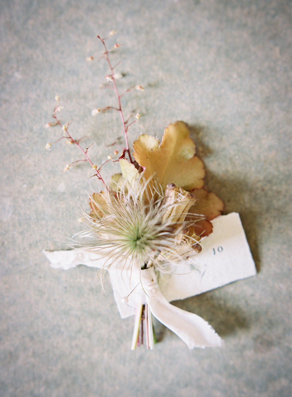 Photograph by Taylor & Porter ; following how-to photographs by Jo Flowers