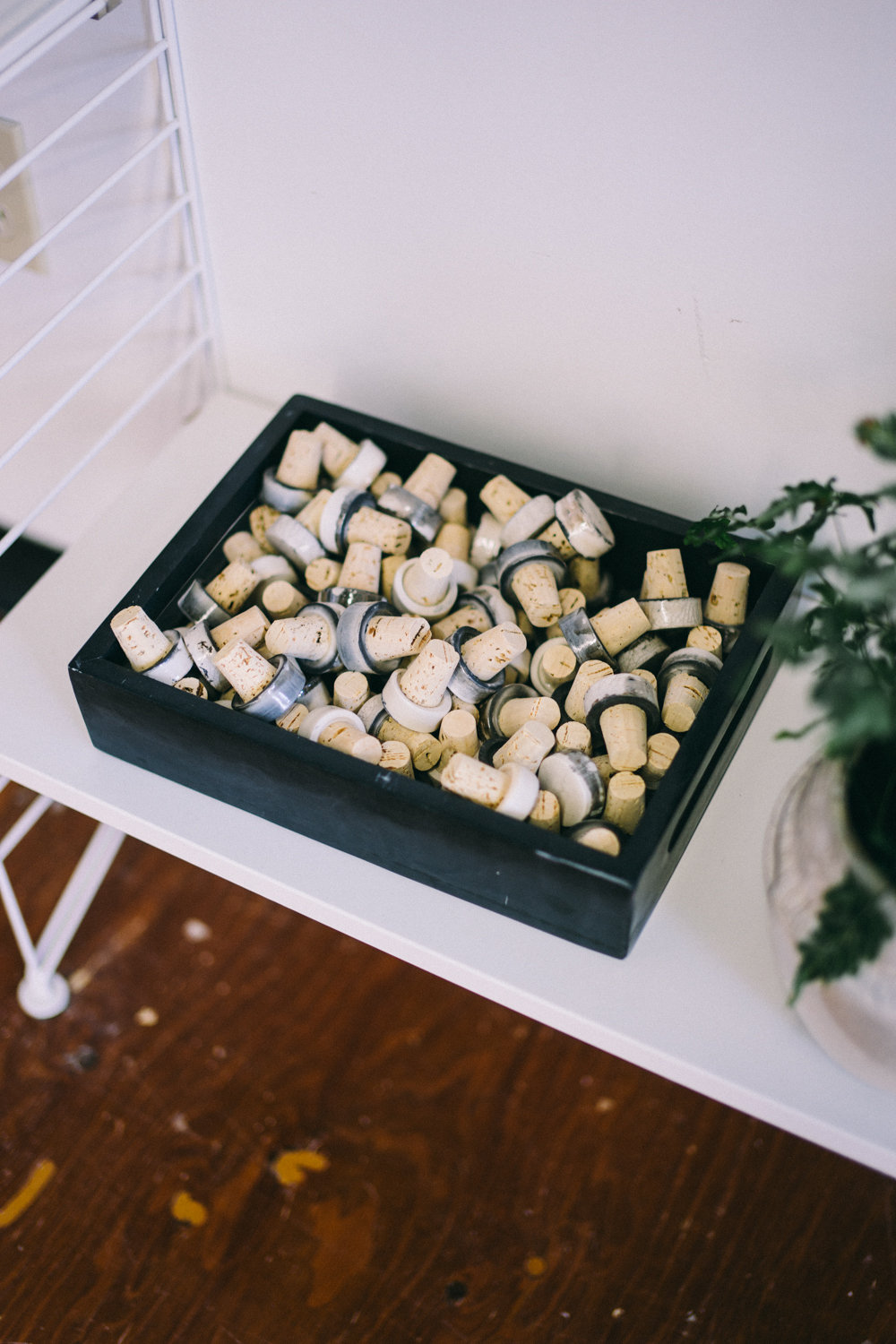 Campfire Studios now on cottagehill.co71.jpg