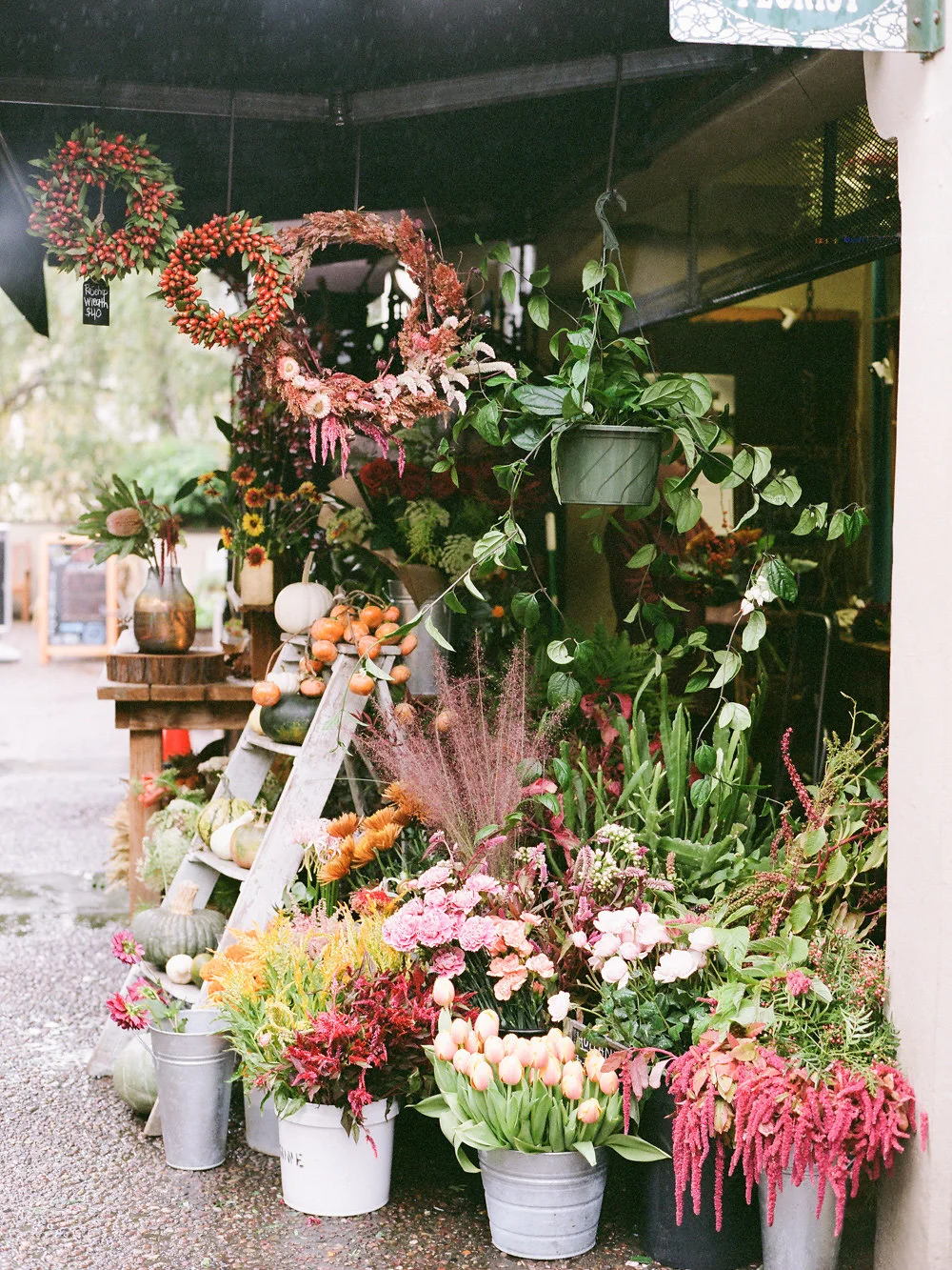 Winter in California on Cottage Hill | cottagehill.co5.jpg