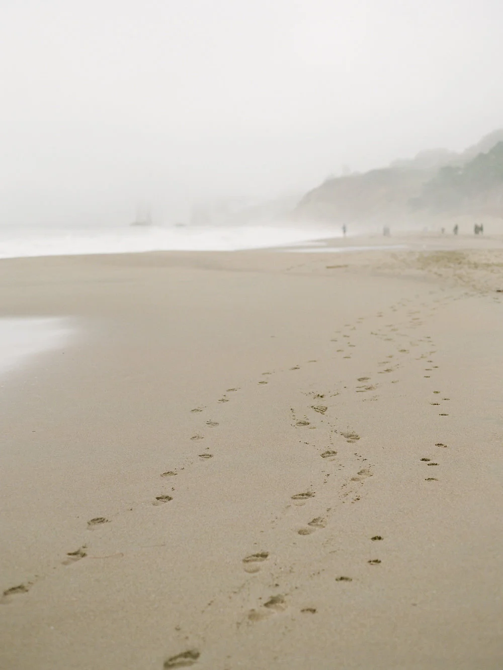 Winter in California on Cottage Hill | cottagehill.co34.jpg