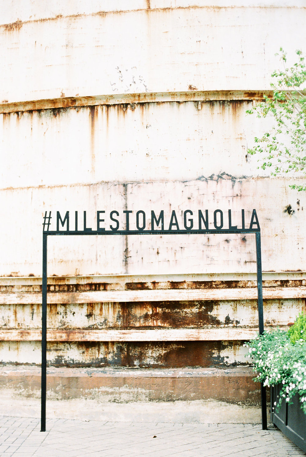 The 7 Things You Must Do at Magnolia Market on Cottage HIll | cottagehill.co3.jpg