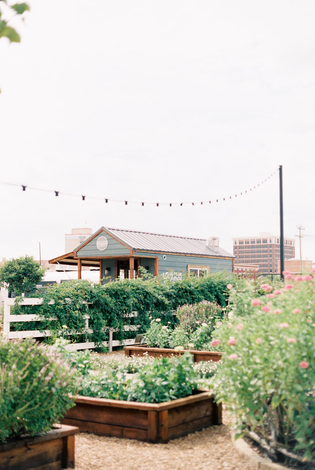 The 7 Things You Must Do at Magnolia Market on Cottage HIll | cottagehill.co21.jpg