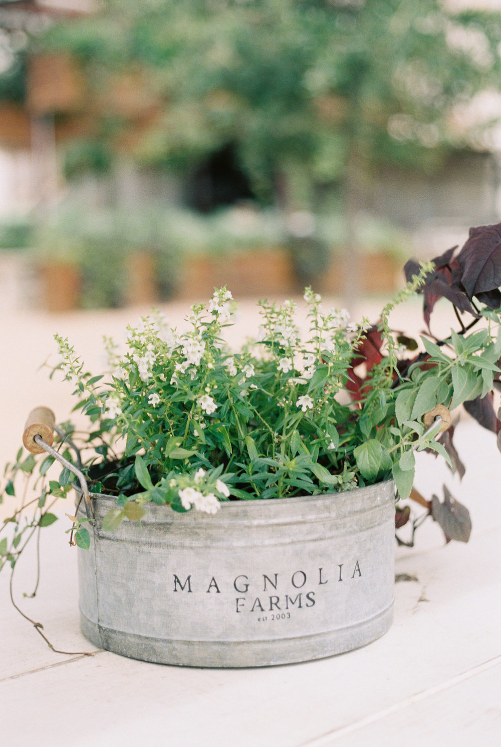 The 7 Things You Must Do at Magnolia Market on Cottage HIll | cottagehill.co33.jpg