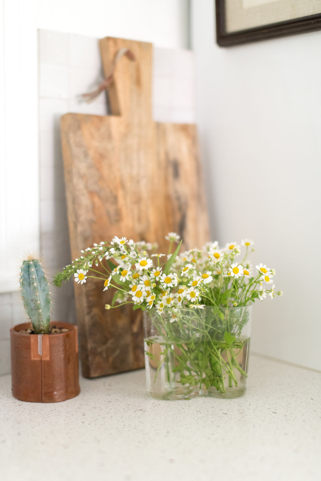 © Cottage Hill, LLC _ At Home with a Commerical Architect _ cottagehill.co93.jpg